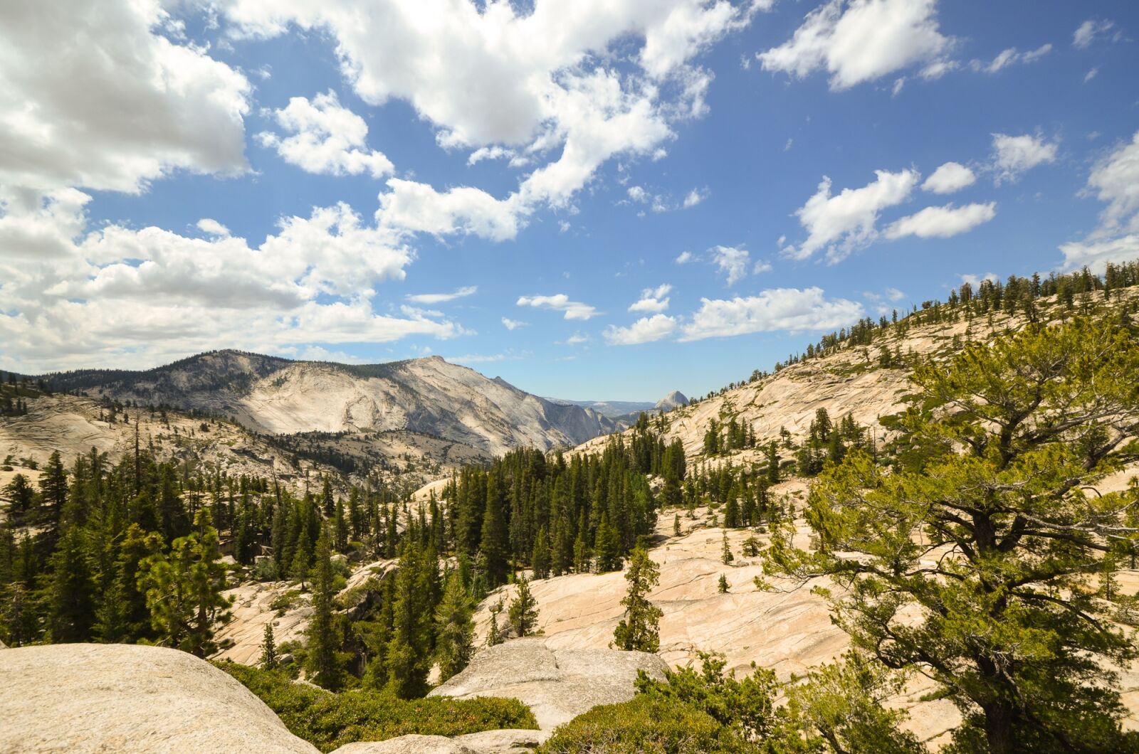 Nikon D5100 sample photo. Usa, america, california photography