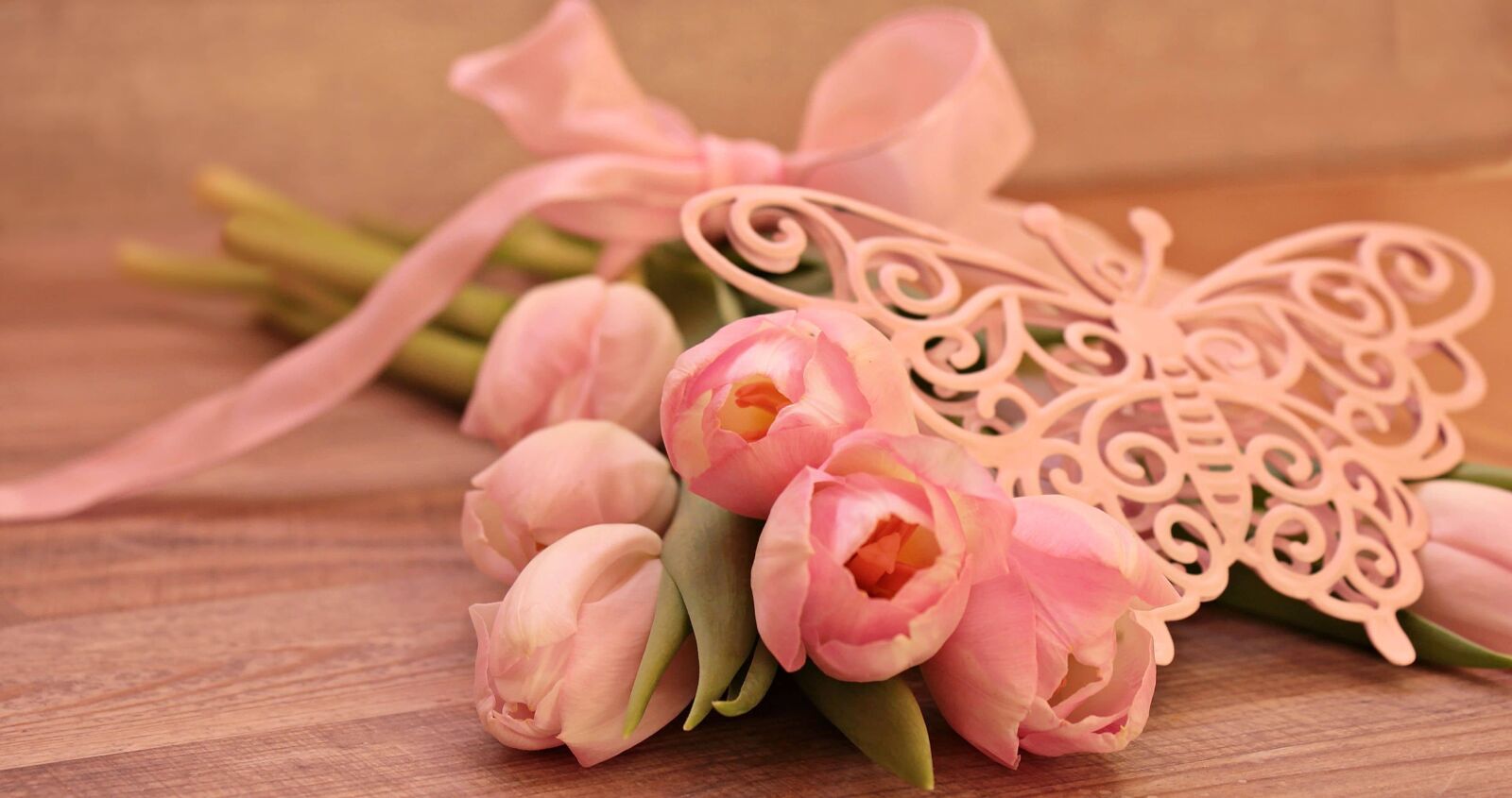 Canon EOS 550D (EOS Rebel T2i / EOS Kiss X4) sample photo. Flower, pink, rose, petal photography