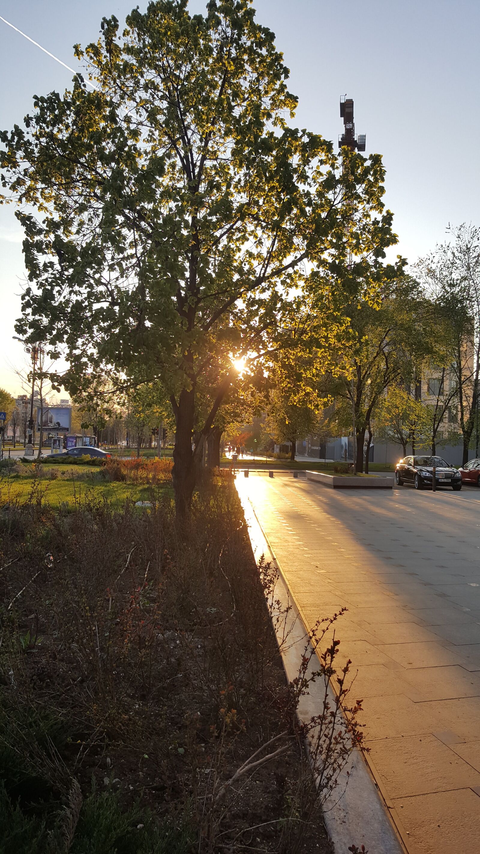 Samsung GALAXY S6 edge sample photo. Sunset photography