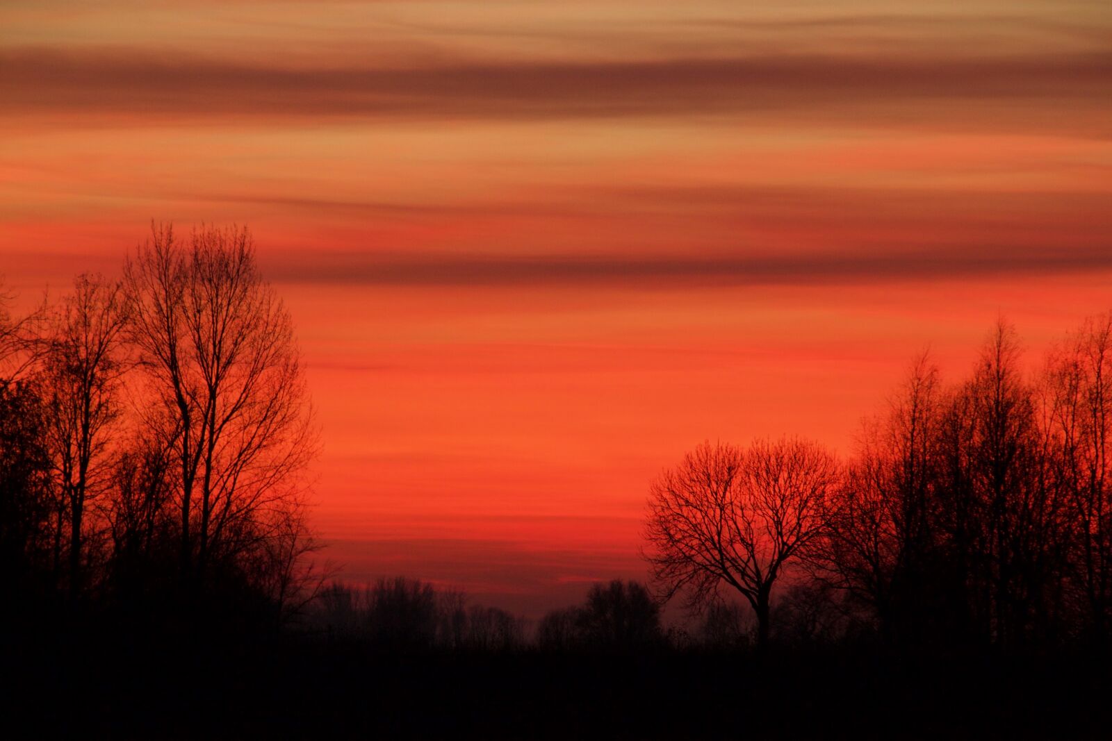 Canon EOS 500D (EOS Rebel T1i / EOS Kiss X3) sample photo. Sunset, red, air photography