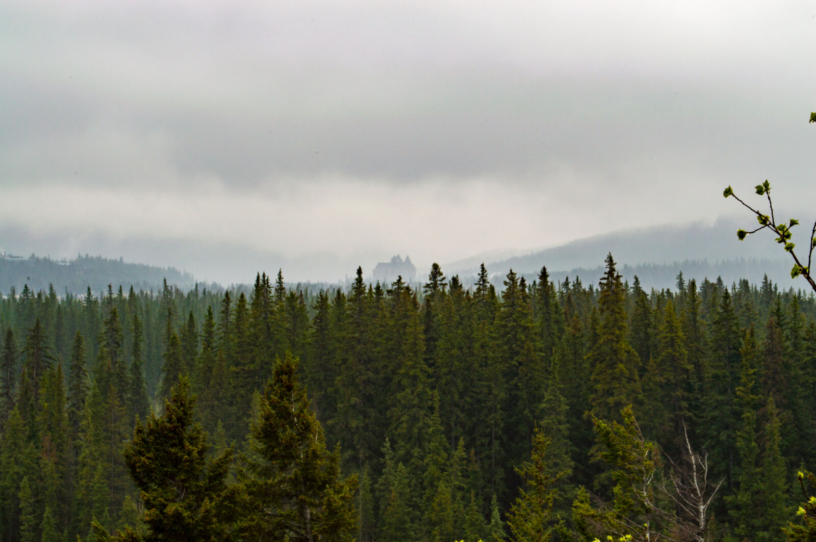 Nikon D3200 sample photo. Nature, sunset, beauty, canada photography