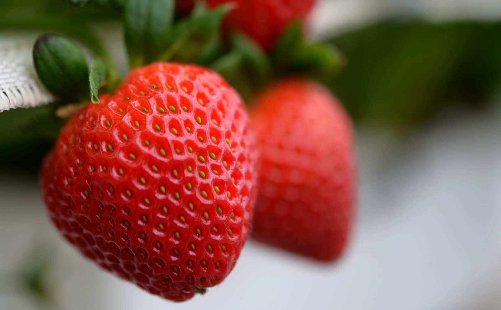 Nikon D4 sample photo. Strawberry, strawberries, fruit photography