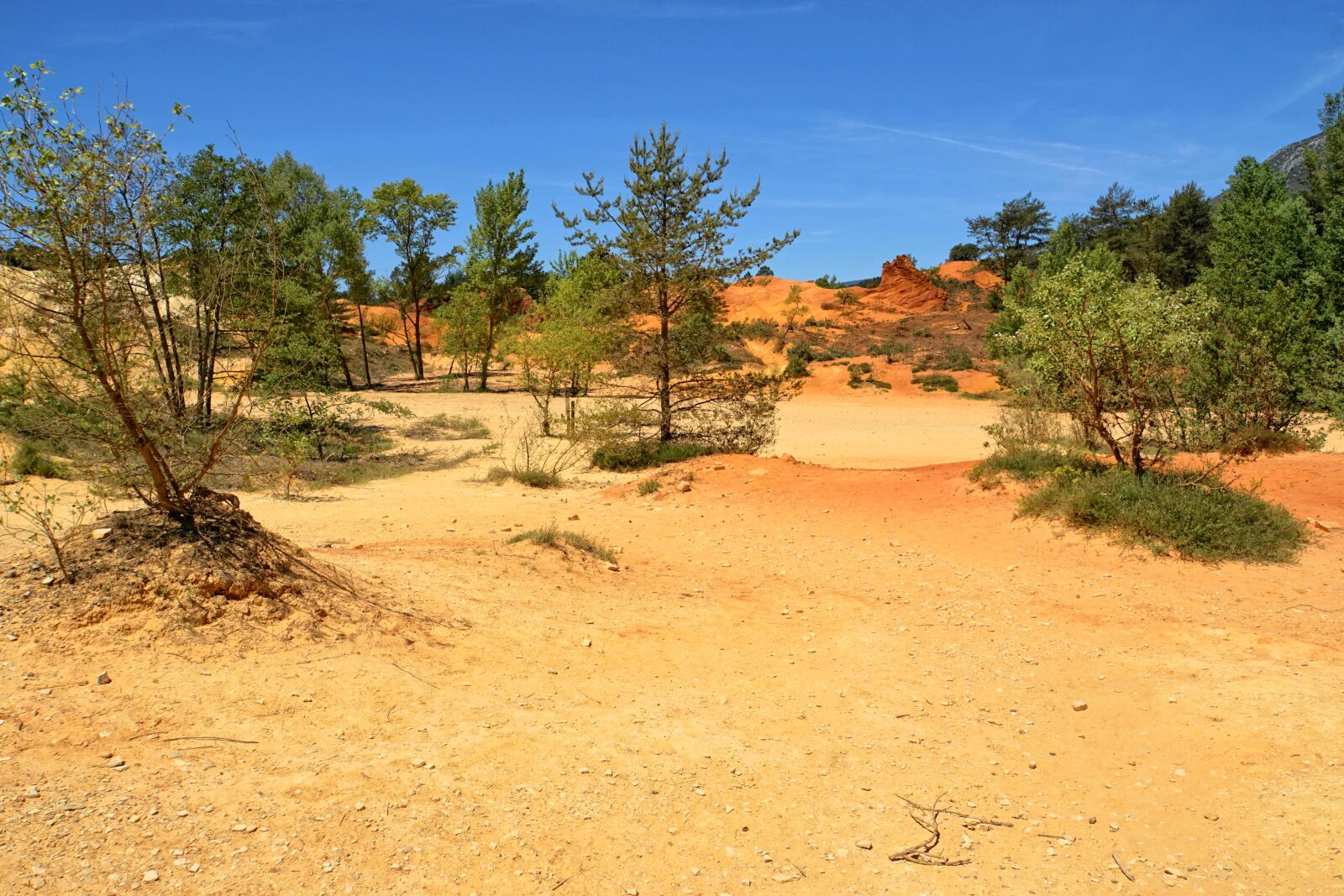 Sony E 18-200mm F3.5-6.3 OSS LE sample photo. Nature, landscape, sand photography