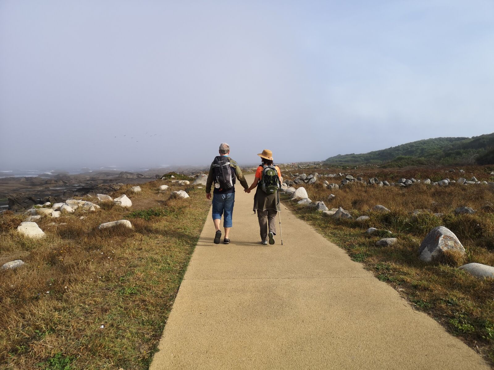 HUAWEI CLT-L29 sample photo. Hiking, wanderer, jacobs way photography