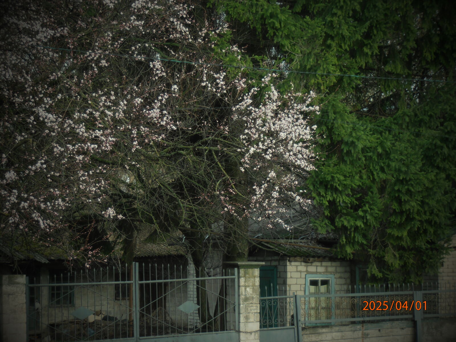Olympus VR320,D725 sample photo