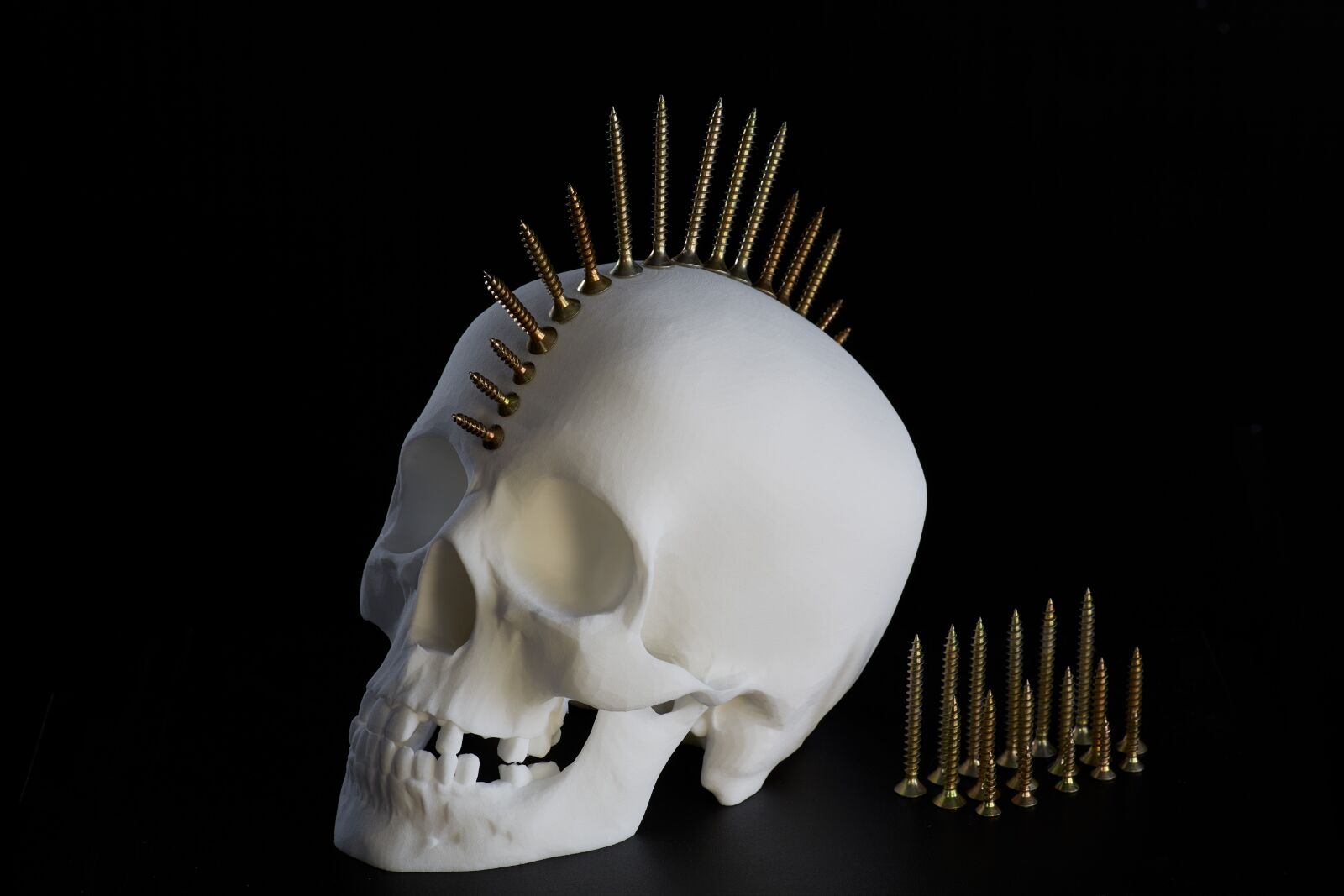 Canon EOS 5D Mark III sample photo. Skull, skeleton, bones photography