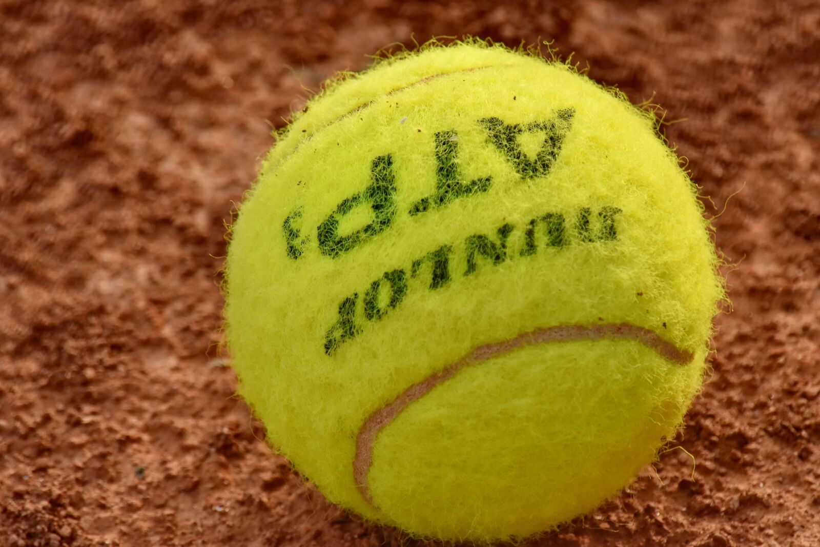 Nikon D5500 sample photo. Ball, beautiful photo, close-up photography