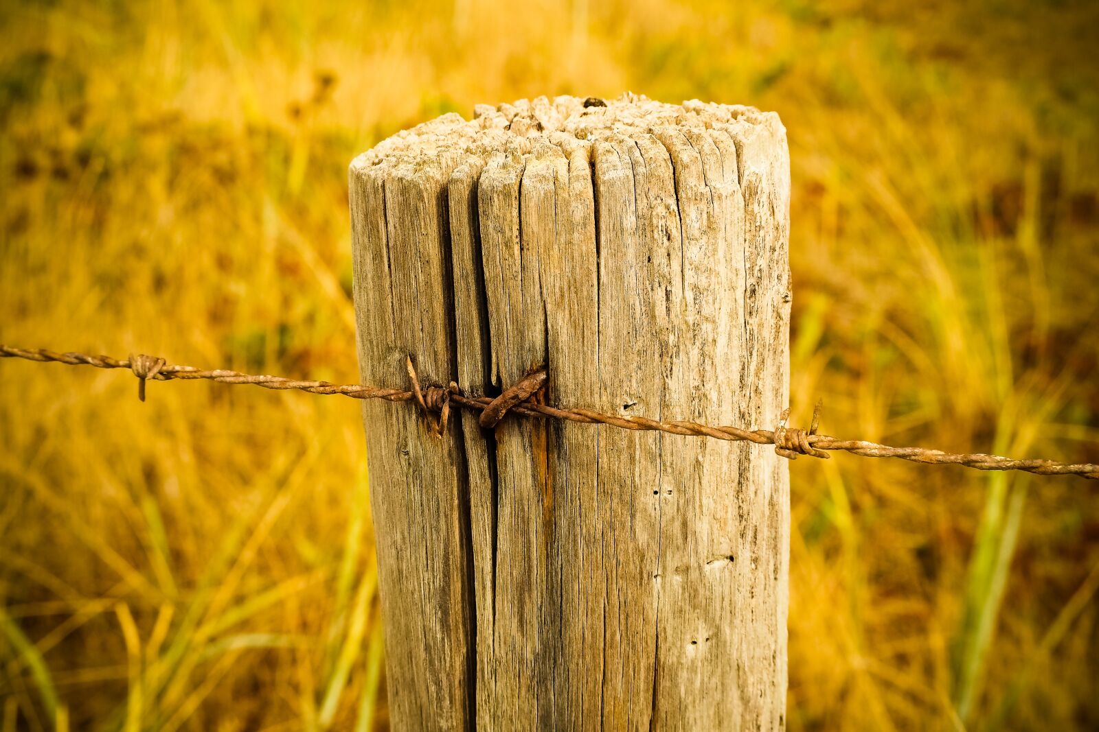 Olympus OM-D E-M10 sample photo. Fence, wood fence, wood photography