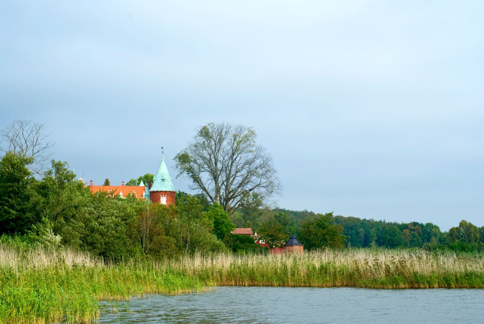 Nikon D80 sample photo. Castle, roof, nature photography