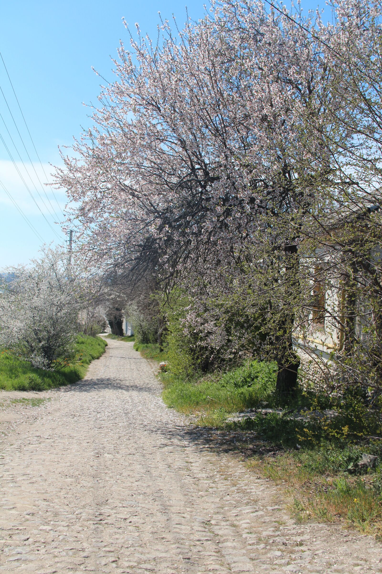 Canon EF-S 18-135mm F3.5-5.6 IS sample photo. Crimea, kerch, spring photography
