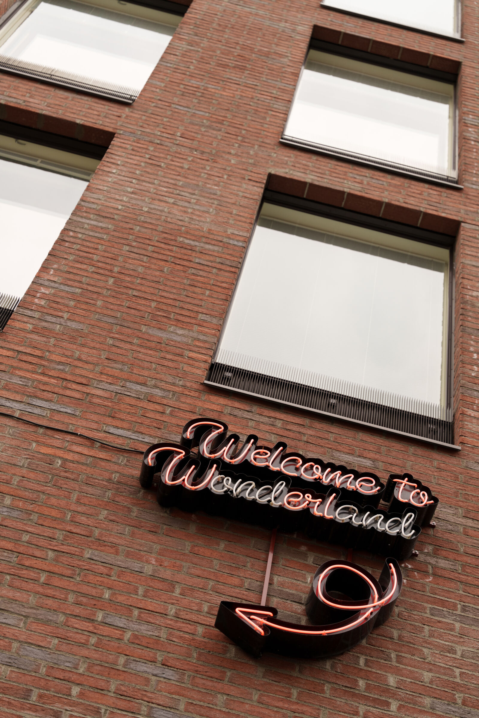 Sony a7R V sample photo. Welcome to wonderland photography