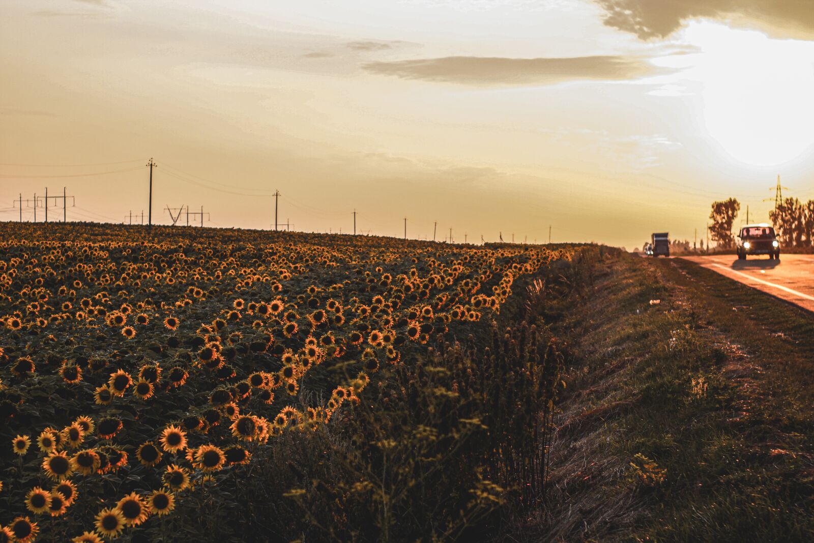Canon EOS 600D (Rebel EOS T3i / EOS Kiss X5) sample photo. Village, sunflowers, sunset photography