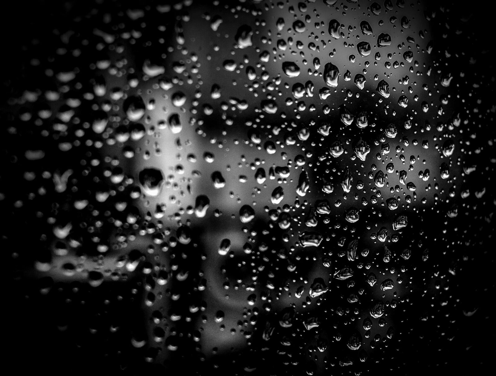 Fujifilm XF 23mm F1.4 R sample photo. Moisture, rain, water, drops photography