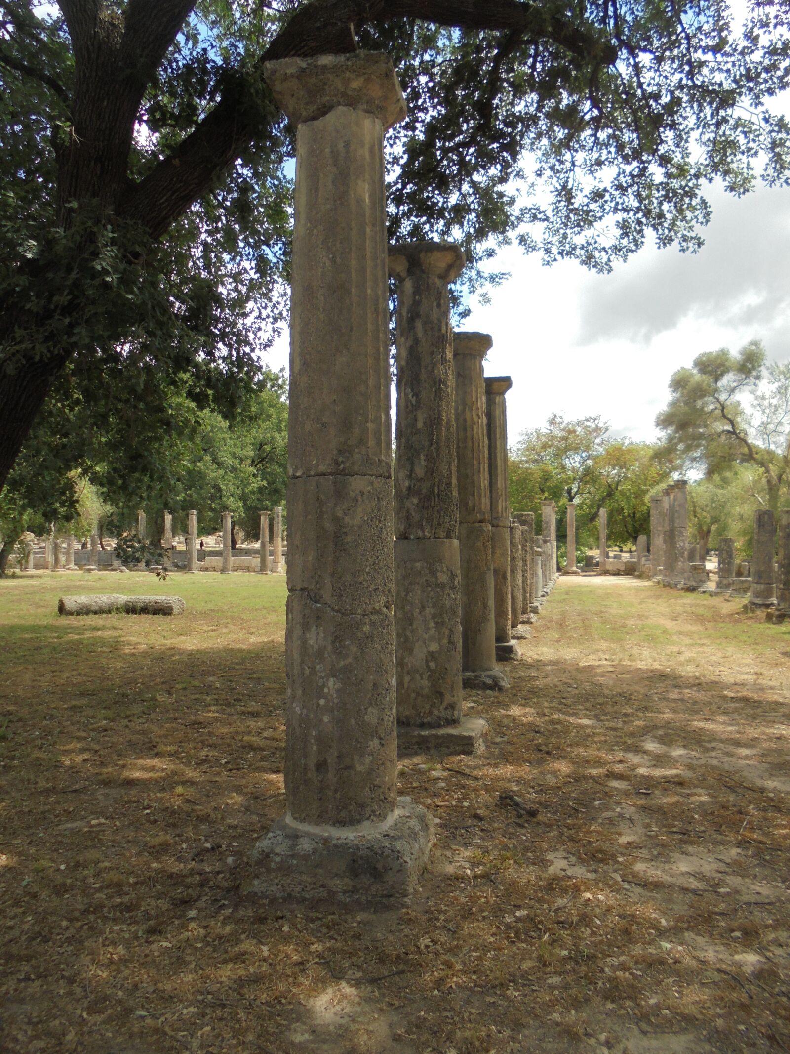 Sony Cyber-shot DSC-W810 sample photo. Ancient olympia, ancient, greeks photography