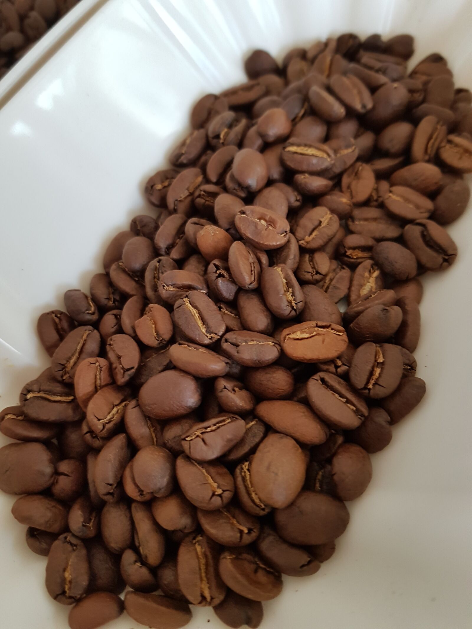 Samsung Galaxy S7 sample photo. Secolino, barista, espresso 100 photography