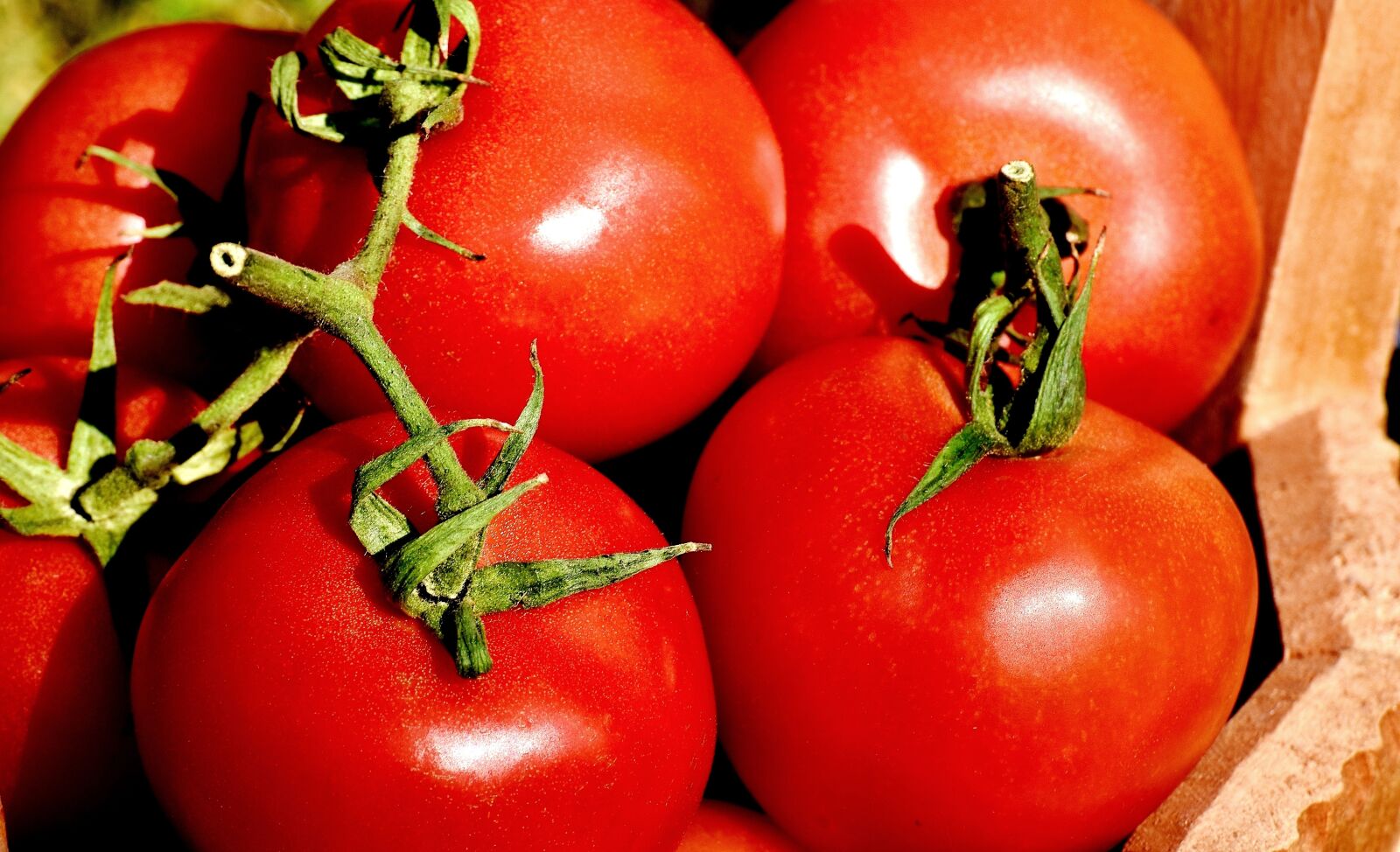 Nikon D7200 sample photo. Tomatoes, vegetables, bucket photography
