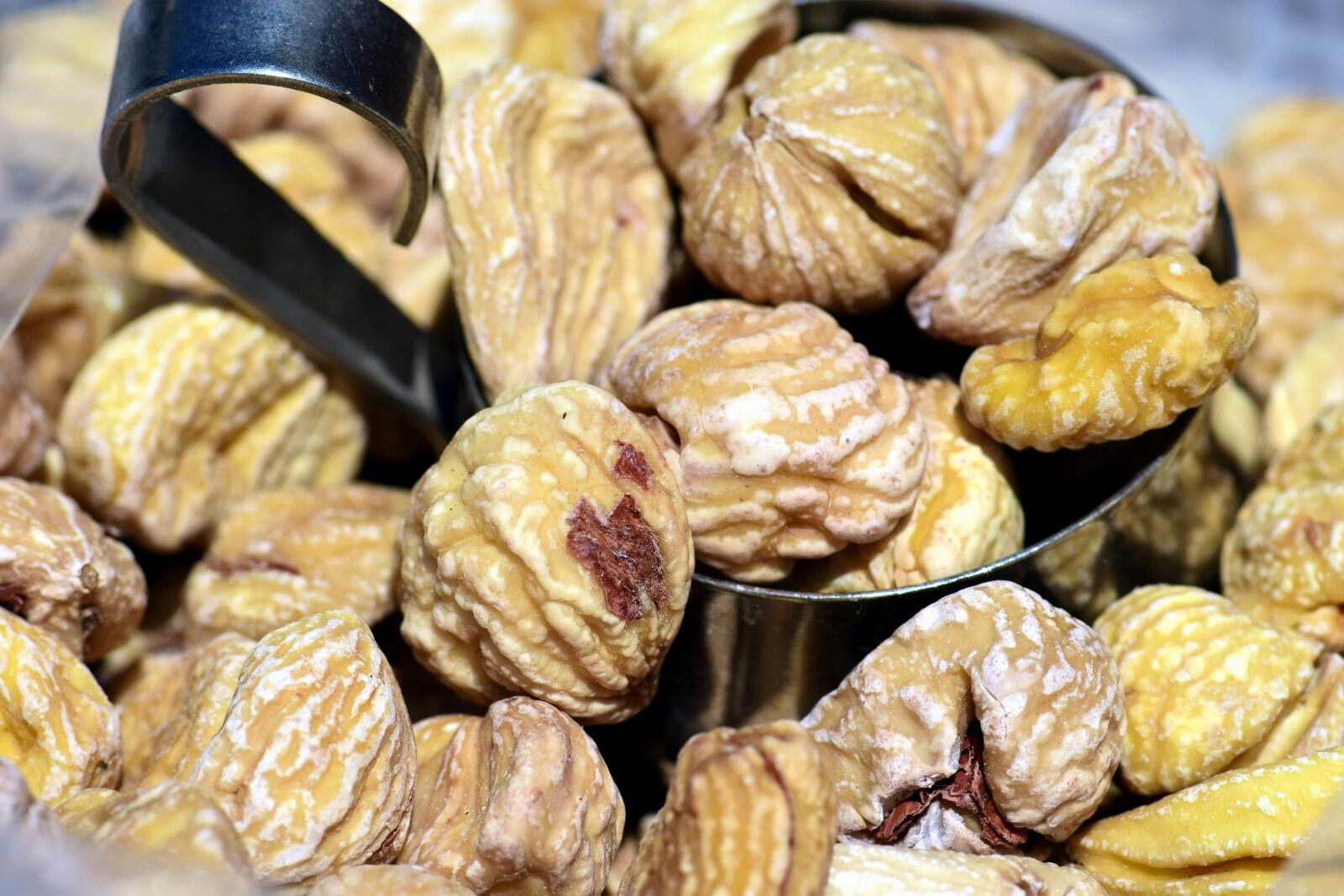 Nikon D3300 sample photo. Nutrition, food, dry, walnut photography
