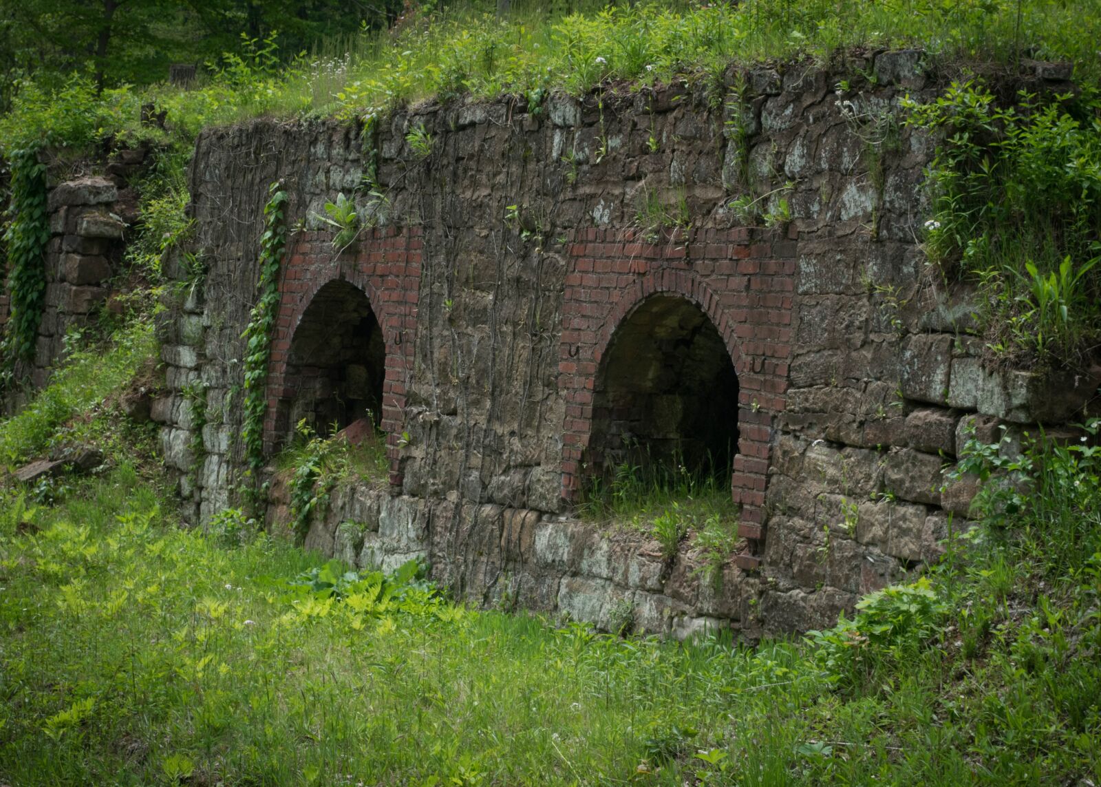 Nikon D5300 sample photo. Ohio, coke oven, green photography