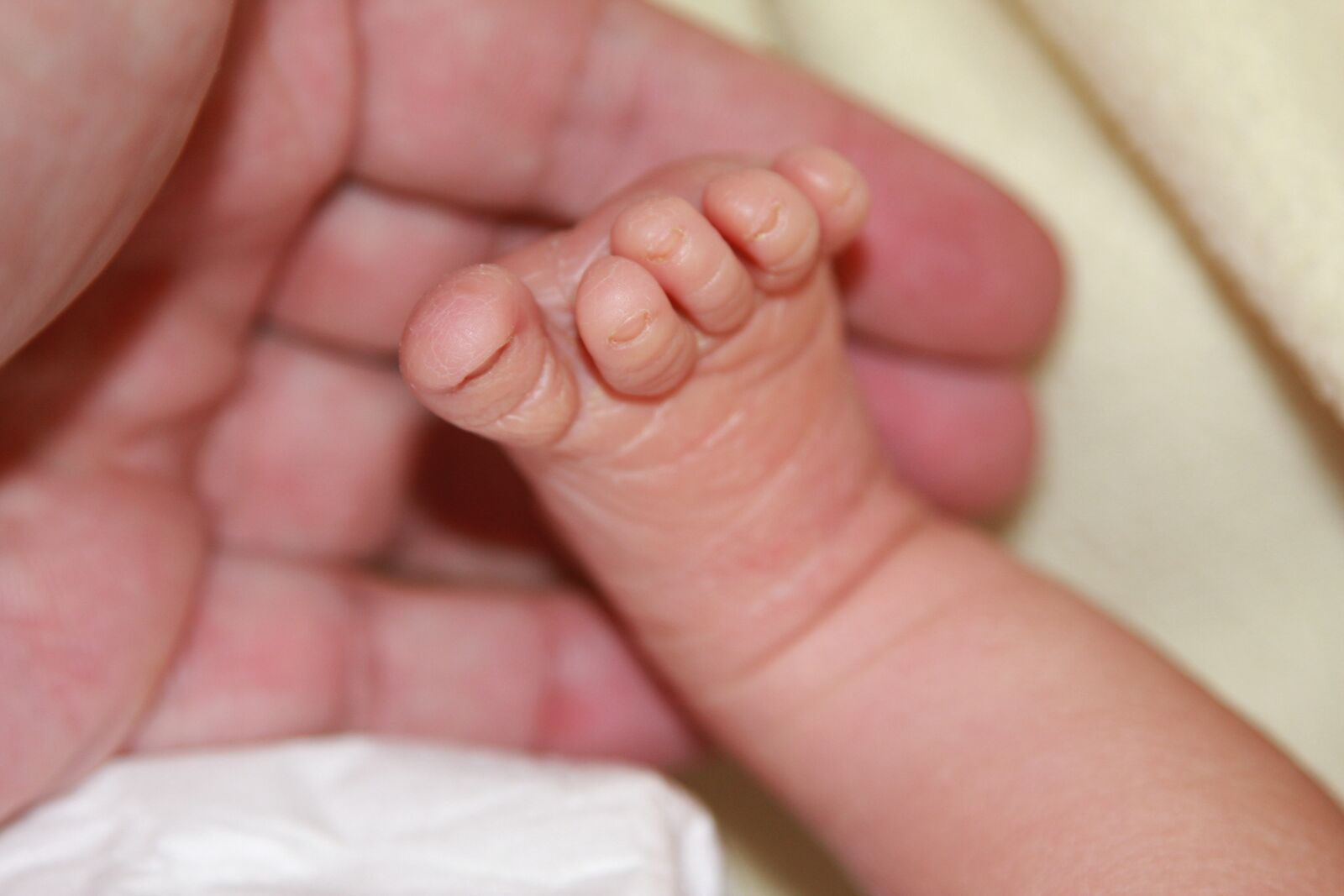 Canon EOS 40D sample photo. Kids, baby, newborn photography