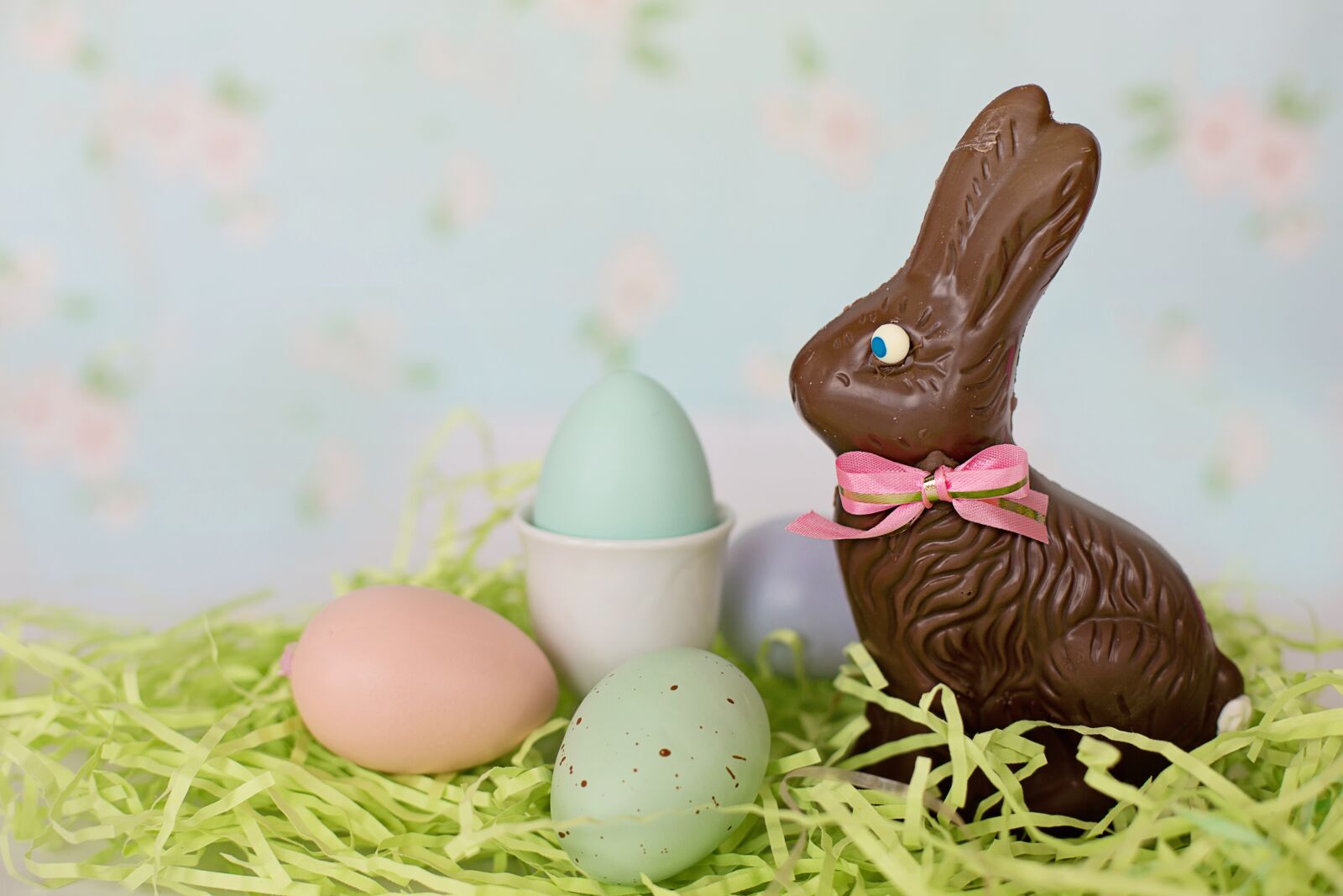Canon EOS 5D Mark III + Canon EF 50mm F1.4 USM sample photo. Chocolate bunny, easter, candy photography