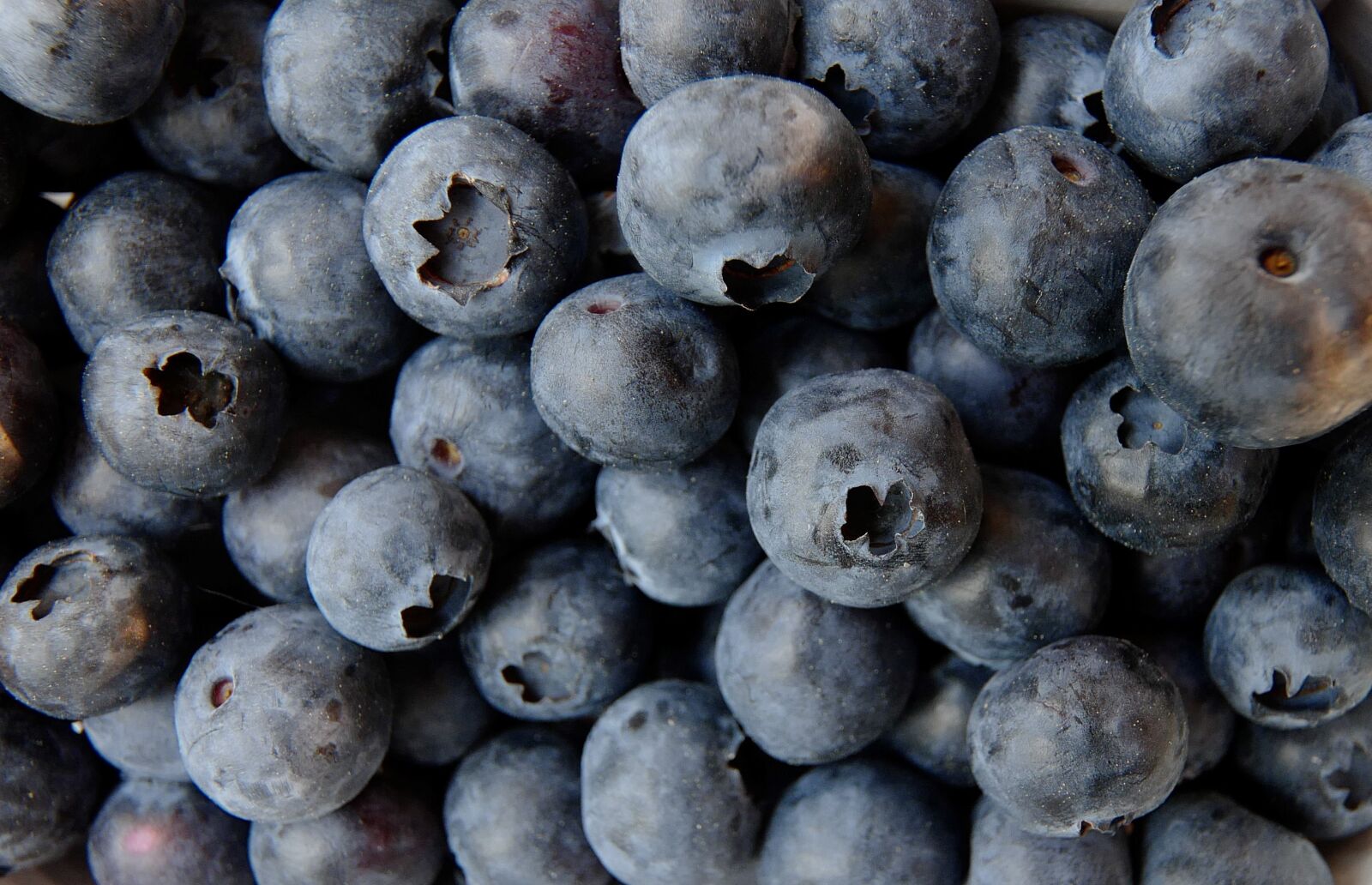 Super-Vario-Elmar-TL  1:3.5-4.5 / 11-23 ASPH. sample photo. Blueberry, blueberries, food photography