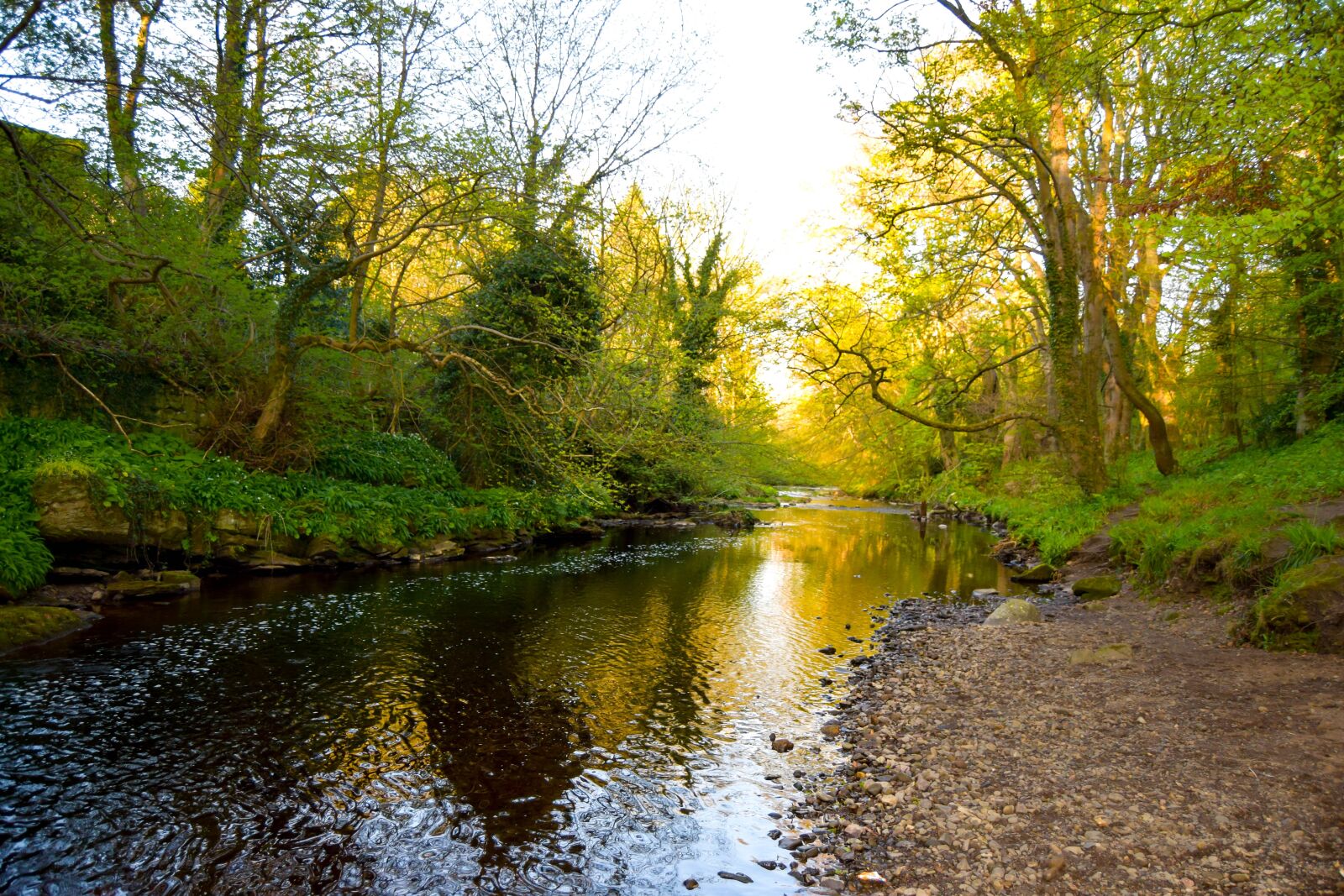 Nikon D3300 sample photo. Water, spring, nature photography