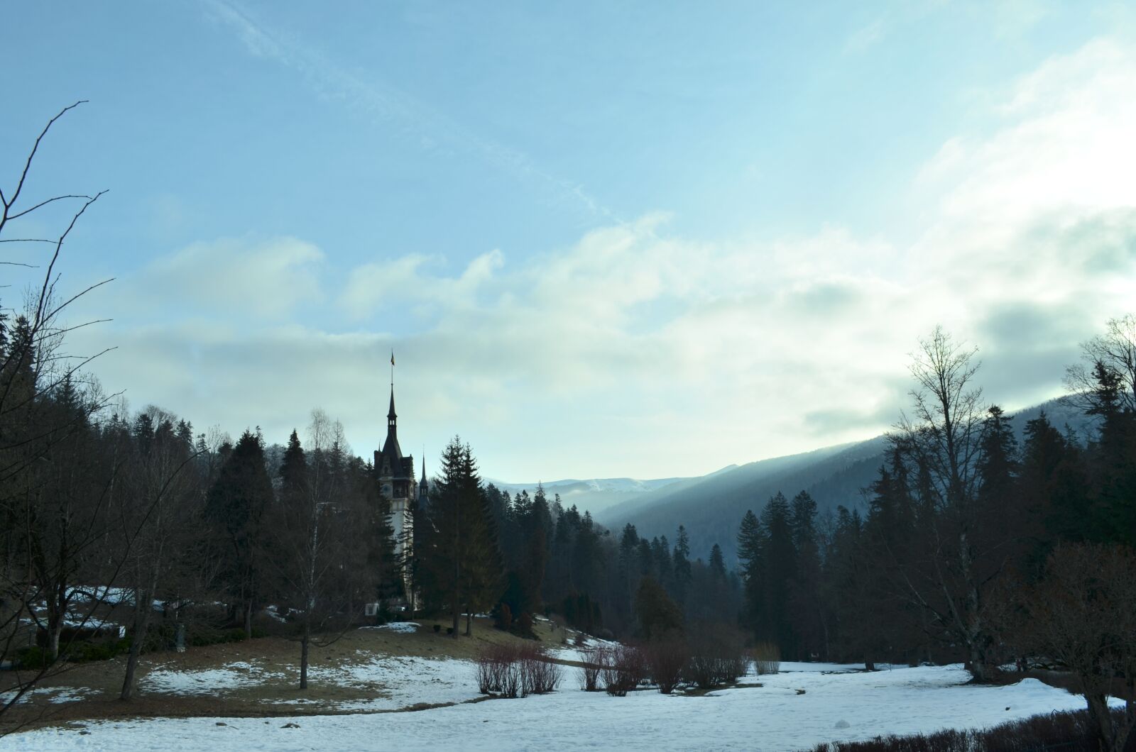 Nikon D5100 sample photo. Sinaia, peles, castle photography