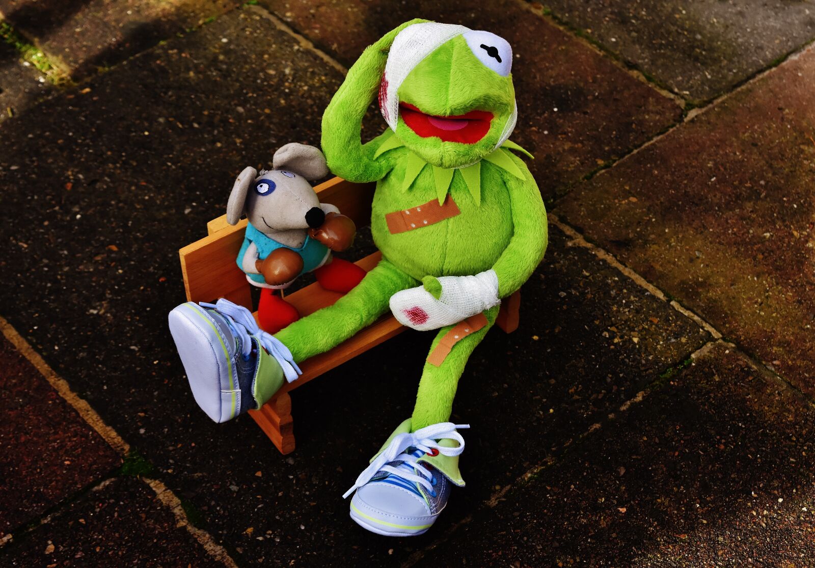 Nikon D7200 sample photo. Kermit, mouse, stuffed animal photography
