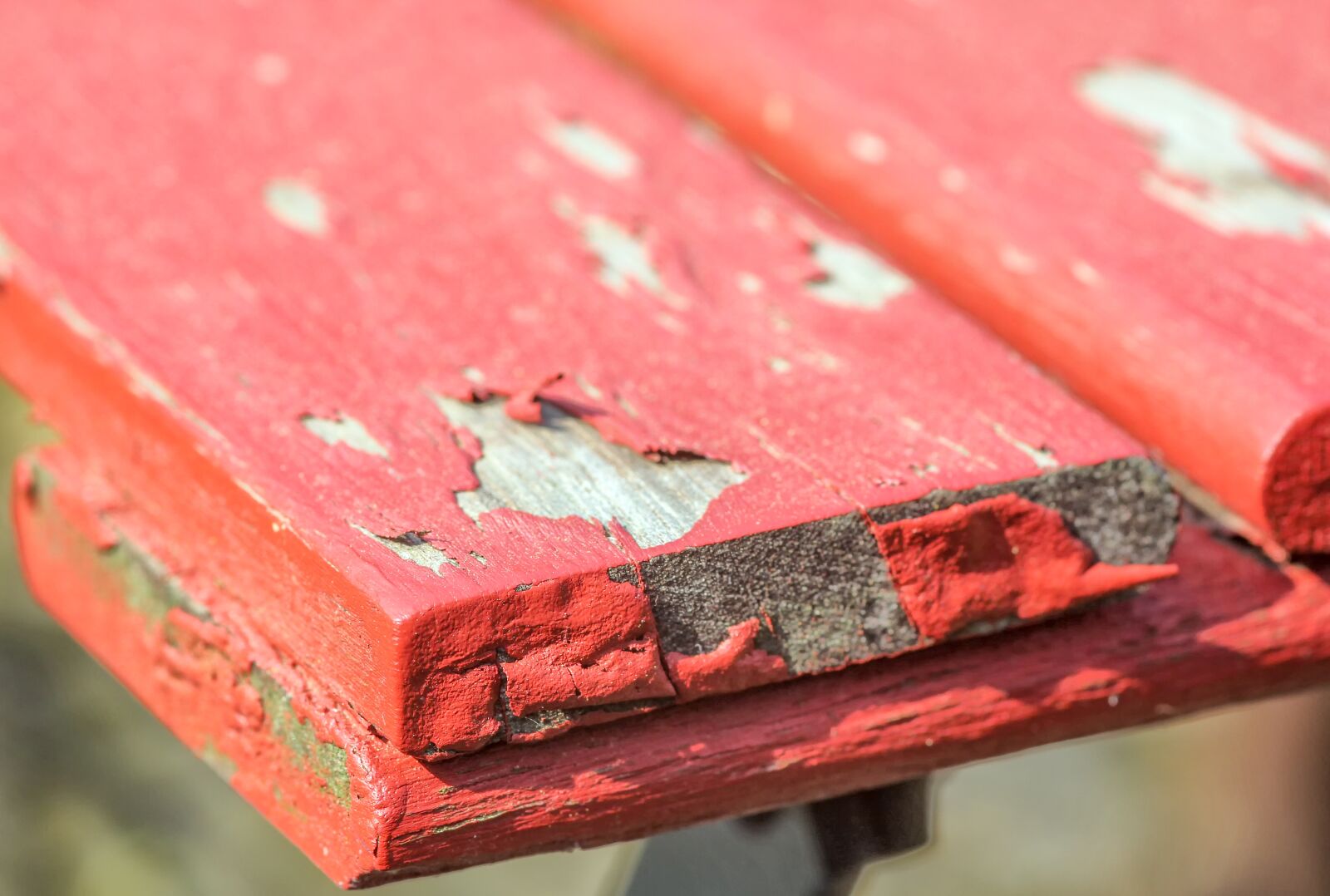 Canon EOS 60D sample photo. Background, pattern, structure photography