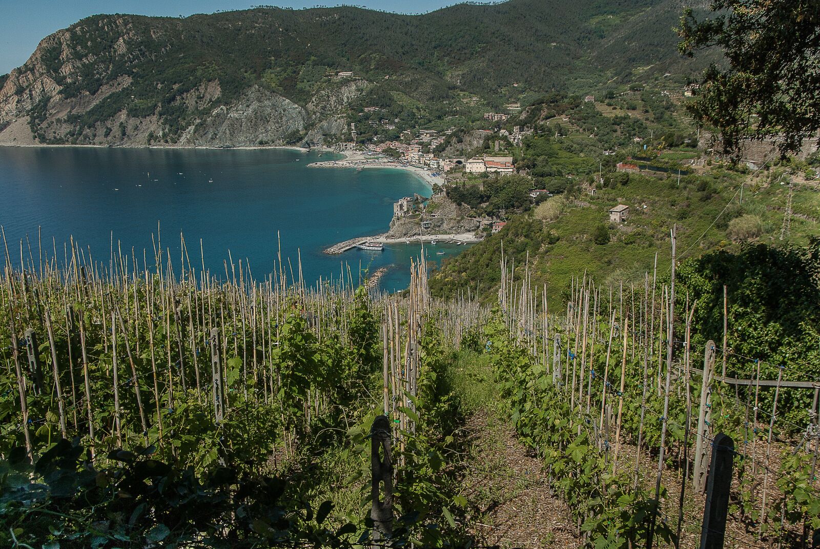 Pentax K10D sample photo. Italy, cinque terre, monterosso photography