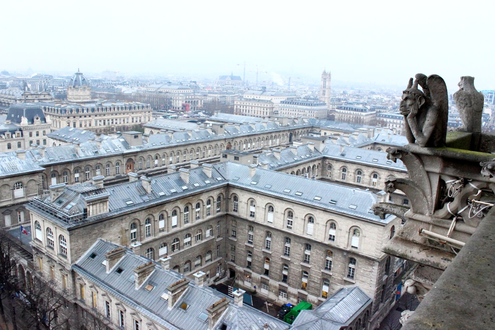 Canon EOS 600D (Rebel EOS T3i / EOS Kiss X5) sample photo. Gargoyles, paris photography