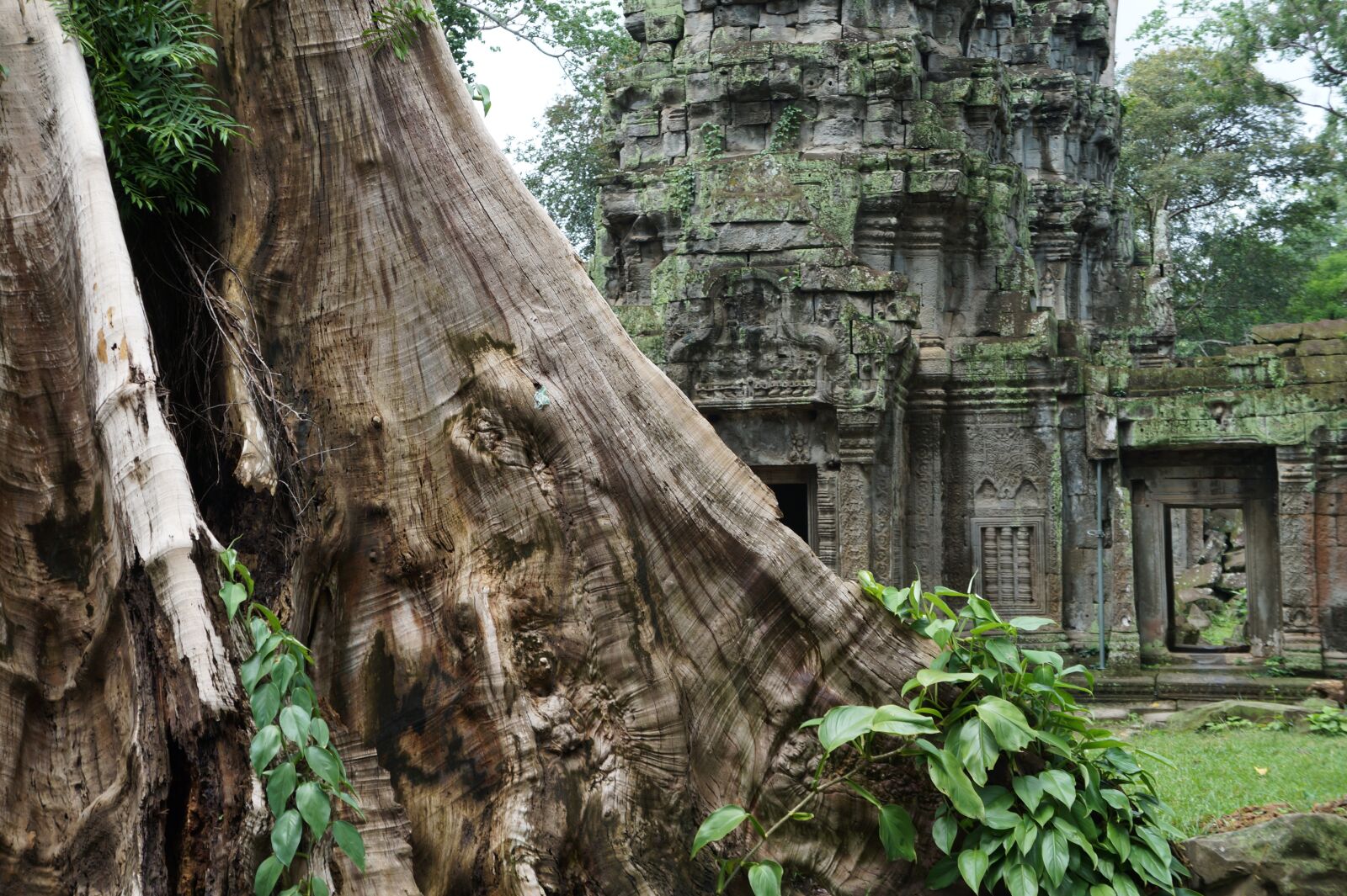 Sony Alpha a3000 + Sony E 18-55mm F3.5-5.6 OSS sample photo. Temple, cambodia, asia photography