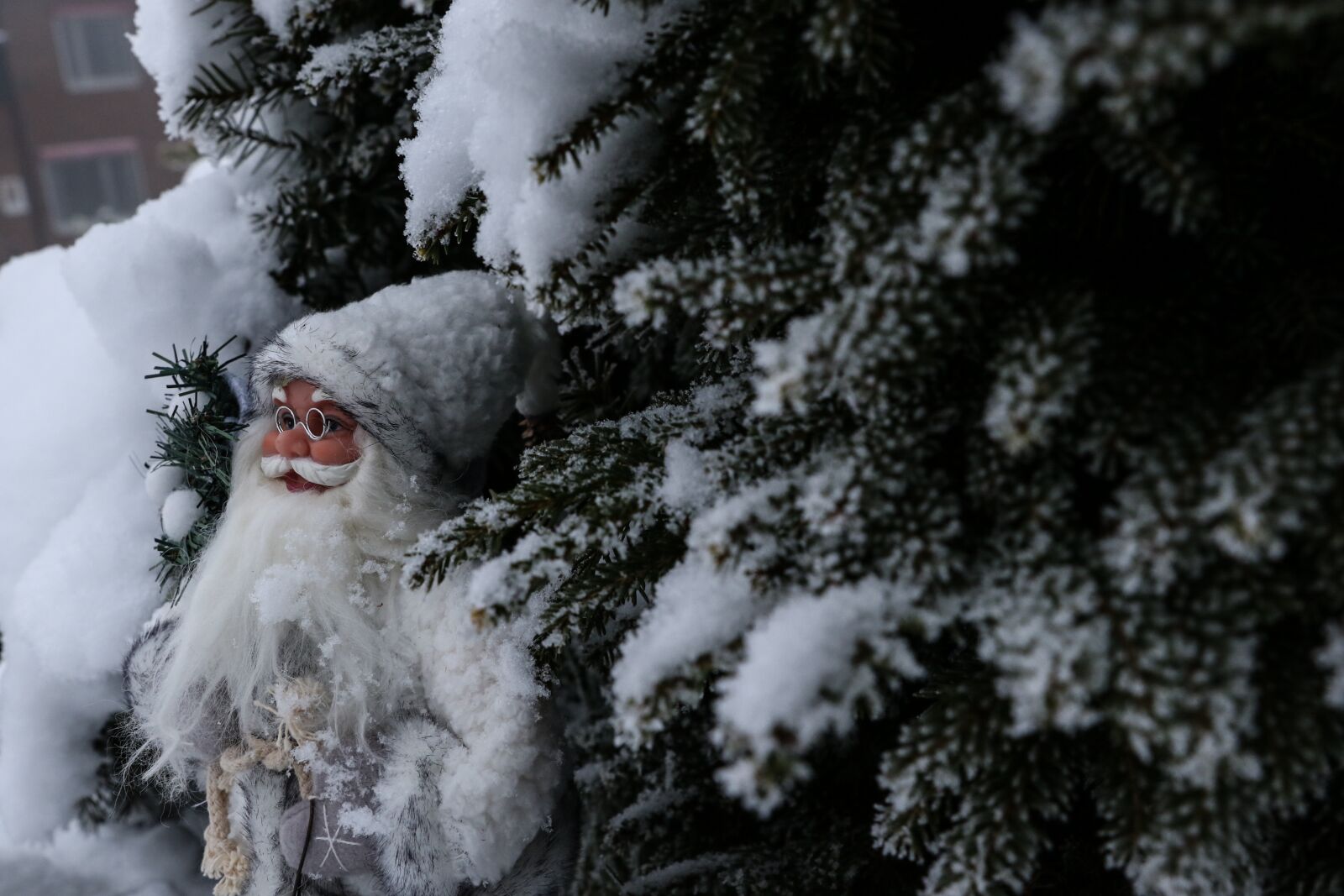Canon EOS 7D Mark II sample photo. Santa, green, wood photography