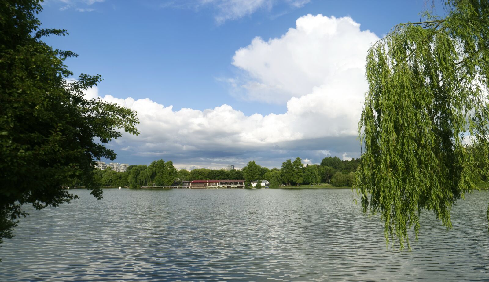 Nikon D5300 sample photo. Landscape, nature, park photography