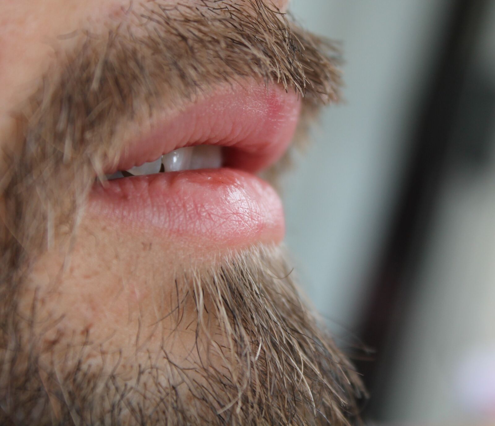 Canon EOS 1100D (EOS Rebel T3 / EOS Kiss X50) + Canon EF-S 18-55mm F3.5-5.6 IS sample photo. Mouth, beard, man photography
