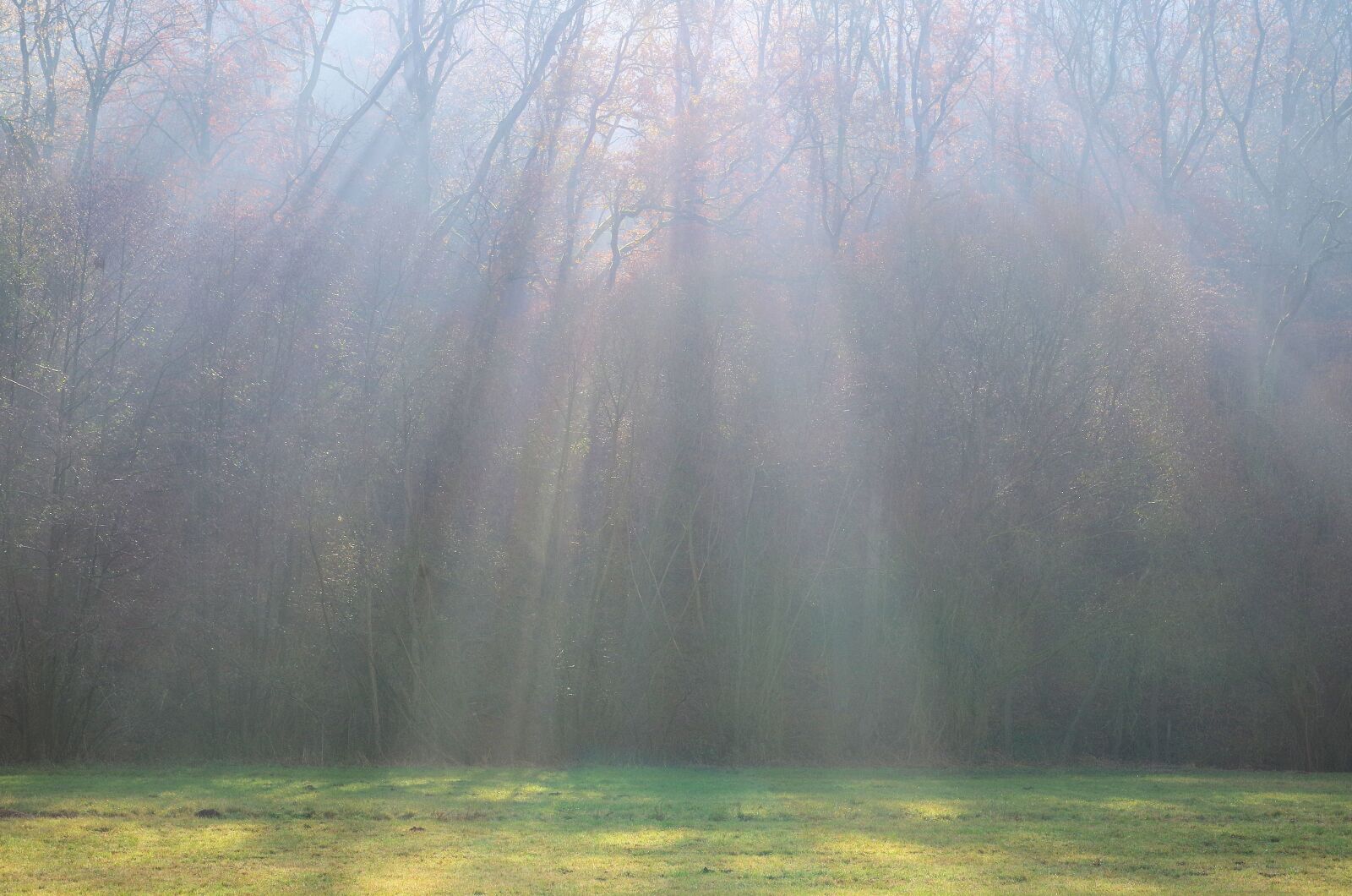 Pentax K-50 sample photo. Light beam, sunbeam, nature photography