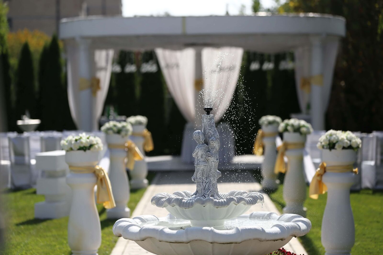 Canon EOS 6D + Canon EF 70-200mm F2.8L IS II USM sample photo. Wedding venue, fountain, luxury photography