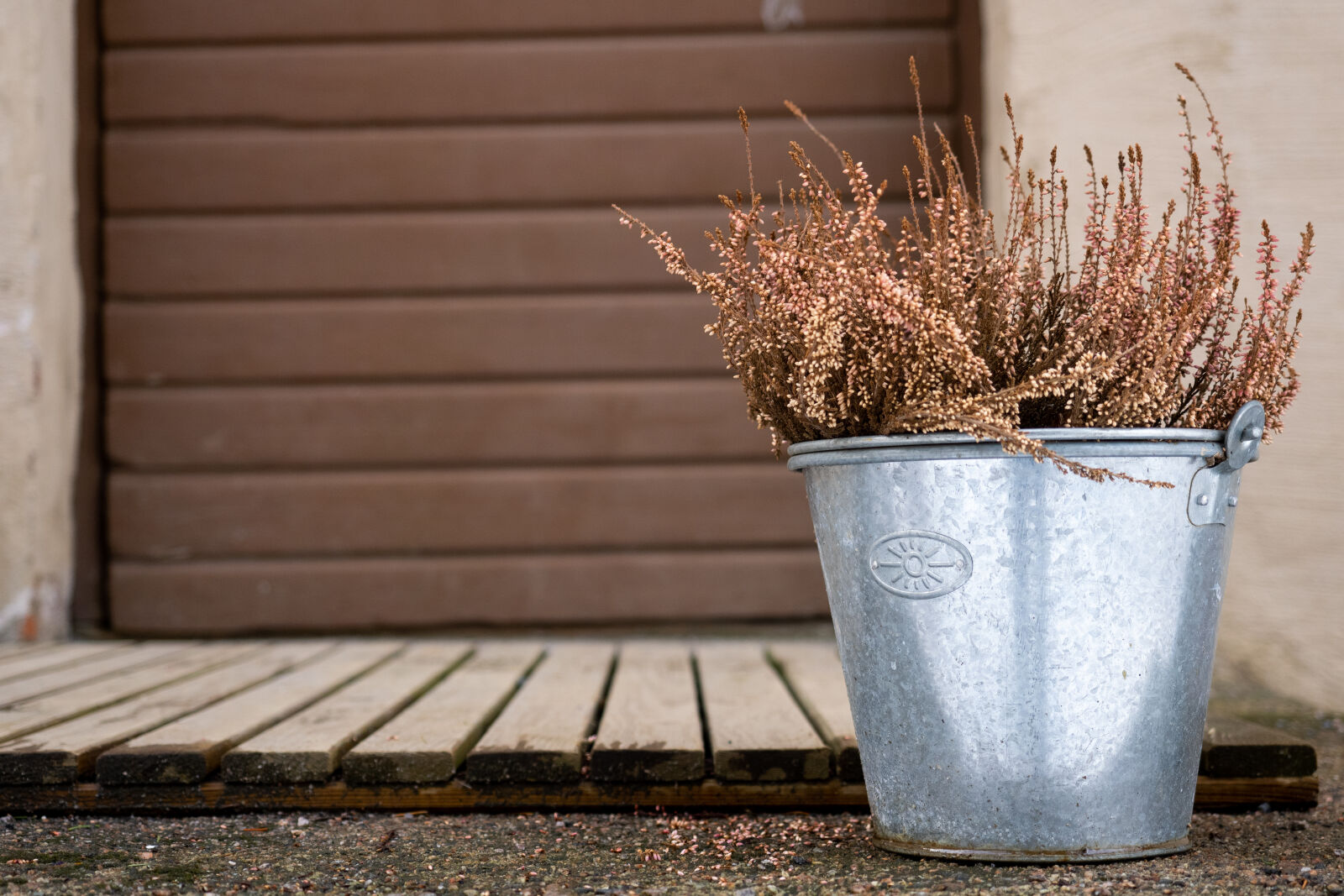 OM System 12-40mm F2.8 PRO II sample photo. Bucket of plants photography