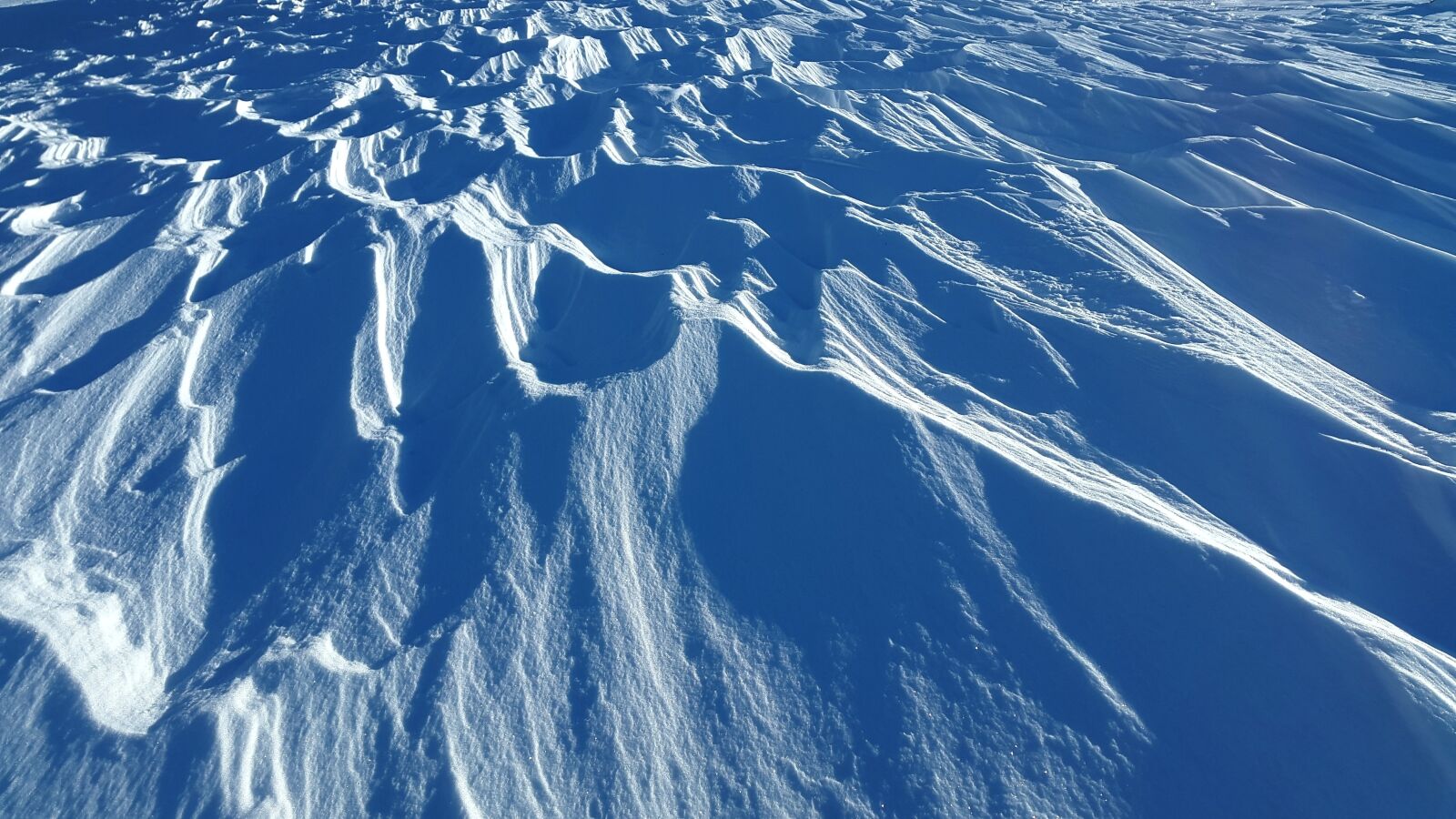 Samsung Galaxy Alpha sample photo. Wind gangeln, snow, winter photography