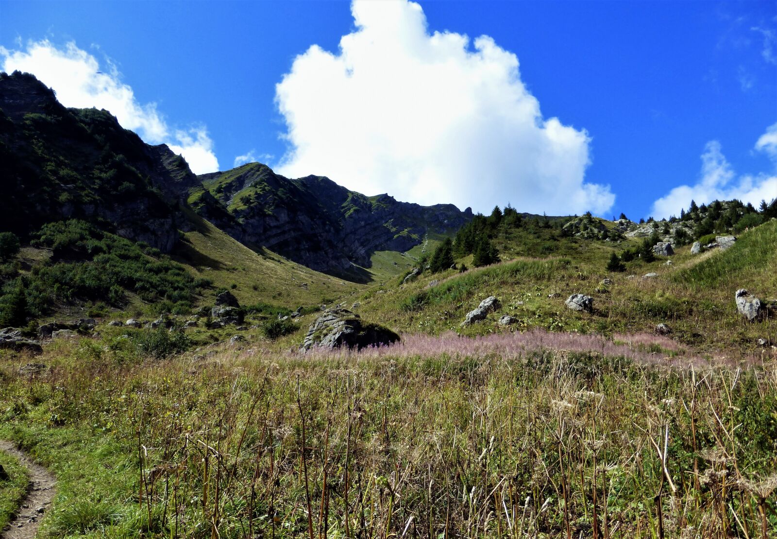 Panasonic Lumix DMC-ZS25 (Lumix DMC-TZ35) sample photo. Alpe, nature, mountain photography