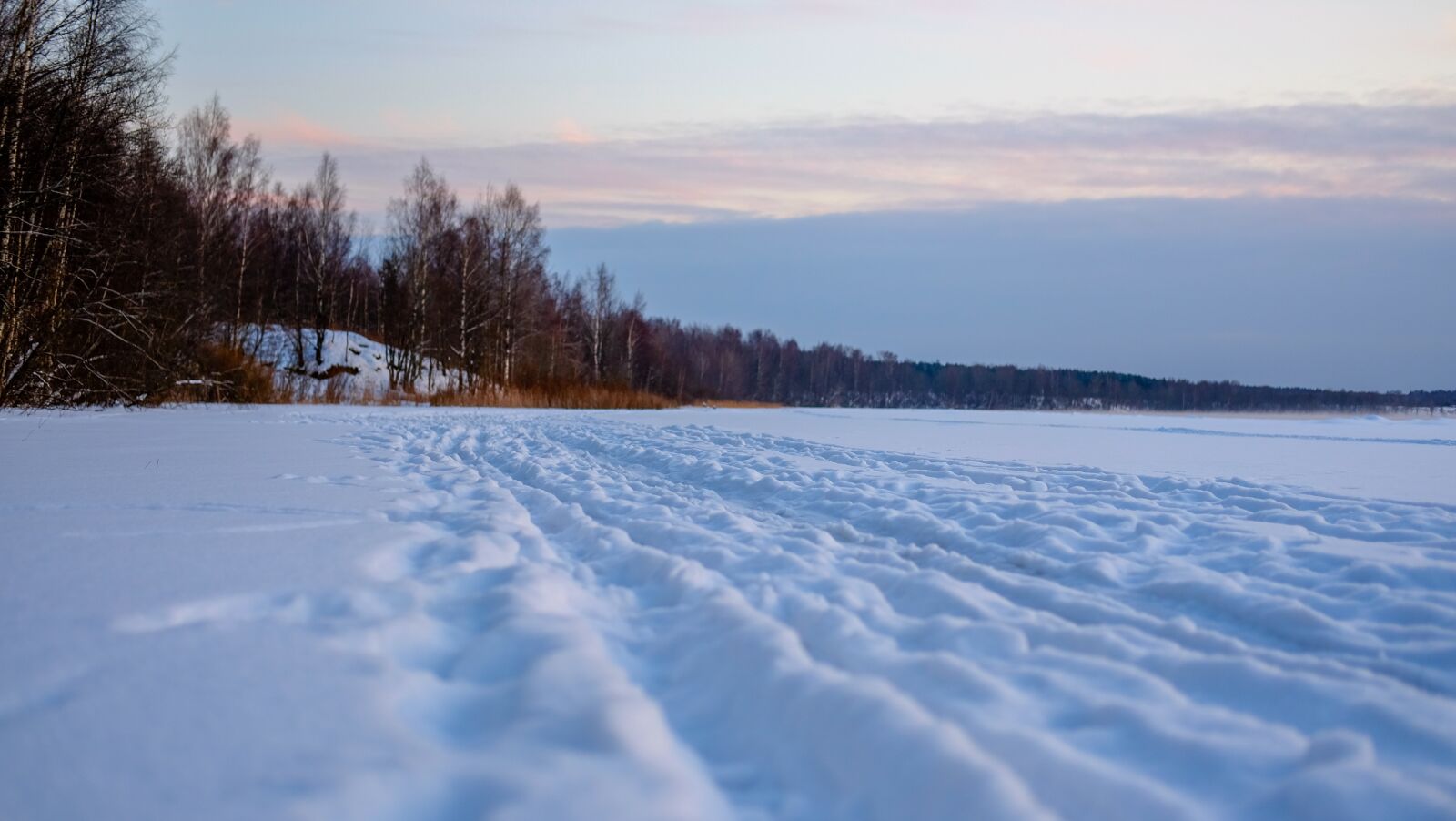 Fujifilm X-T10 + Fujifilm XF 35mm F2 R WR sample photo. Snow, winter, coldly photography