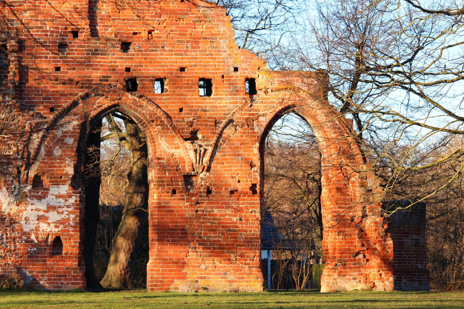 Canon EF-S 55-250mm F4-5.6 IS STM sample photo. Ruins of eldena abbey photography