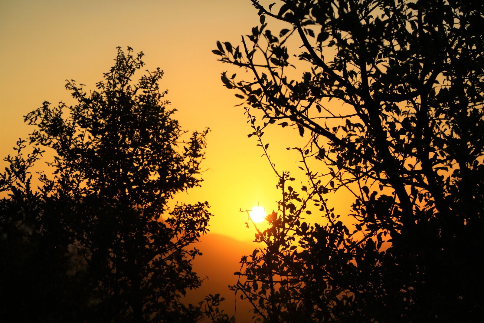 Canon EF 24-105mm F4L IS USM sample photo. Sunset, nature, sky photography