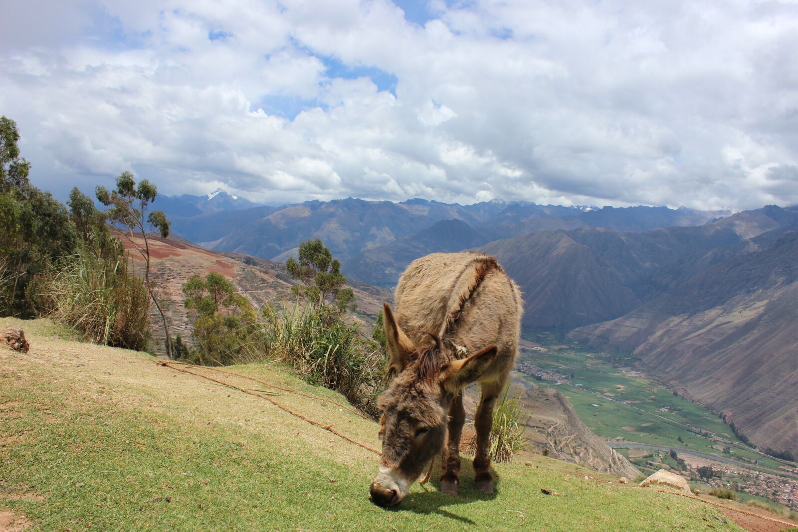 Canon EOS 600D (Rebel EOS T3i / EOS Kiss X5) sample photo. Peru, sacred valley, urubamba photography