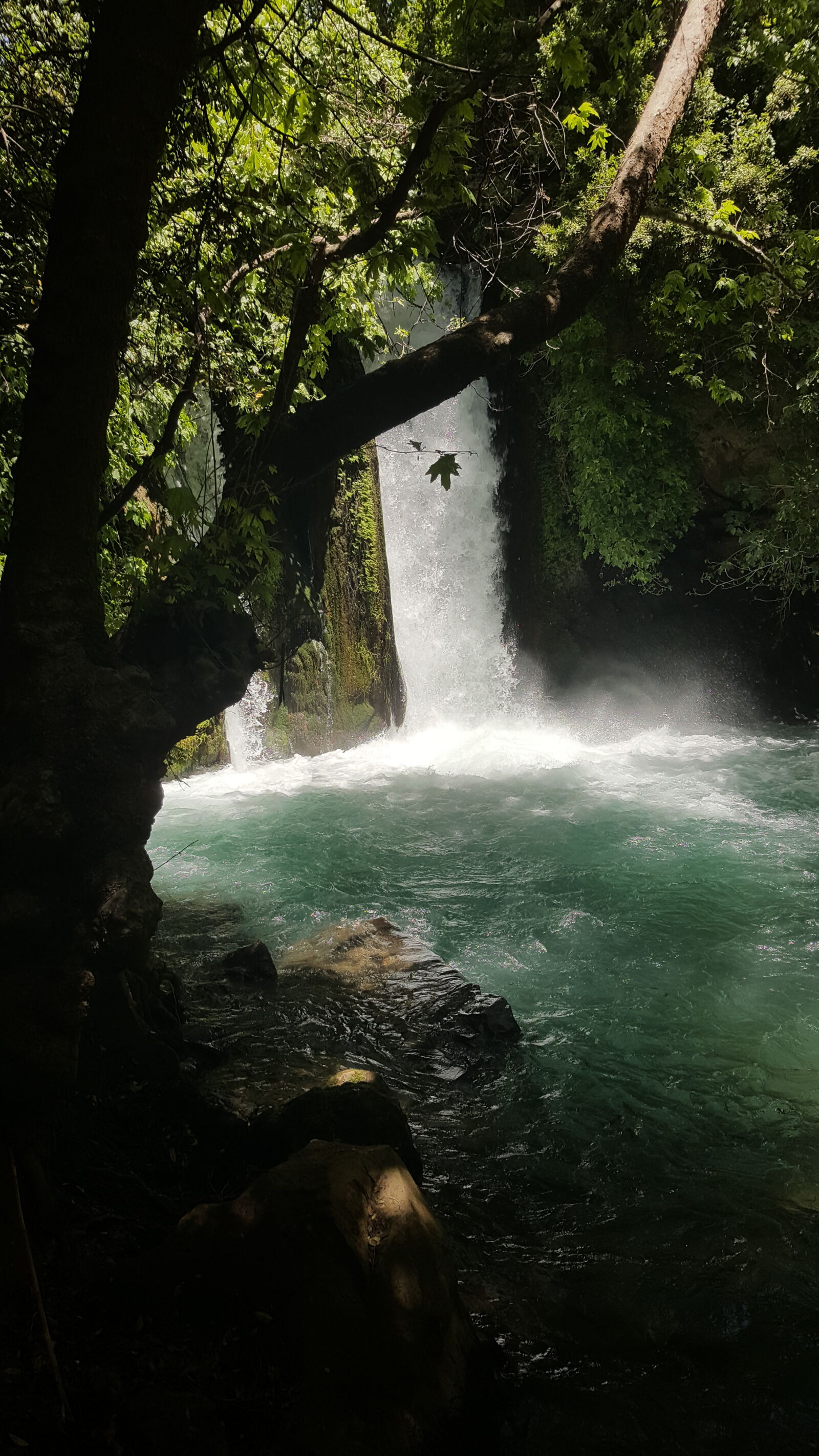 Samsung Galaxy Note5 sample photo. Waterfall, recommended, on, a photography