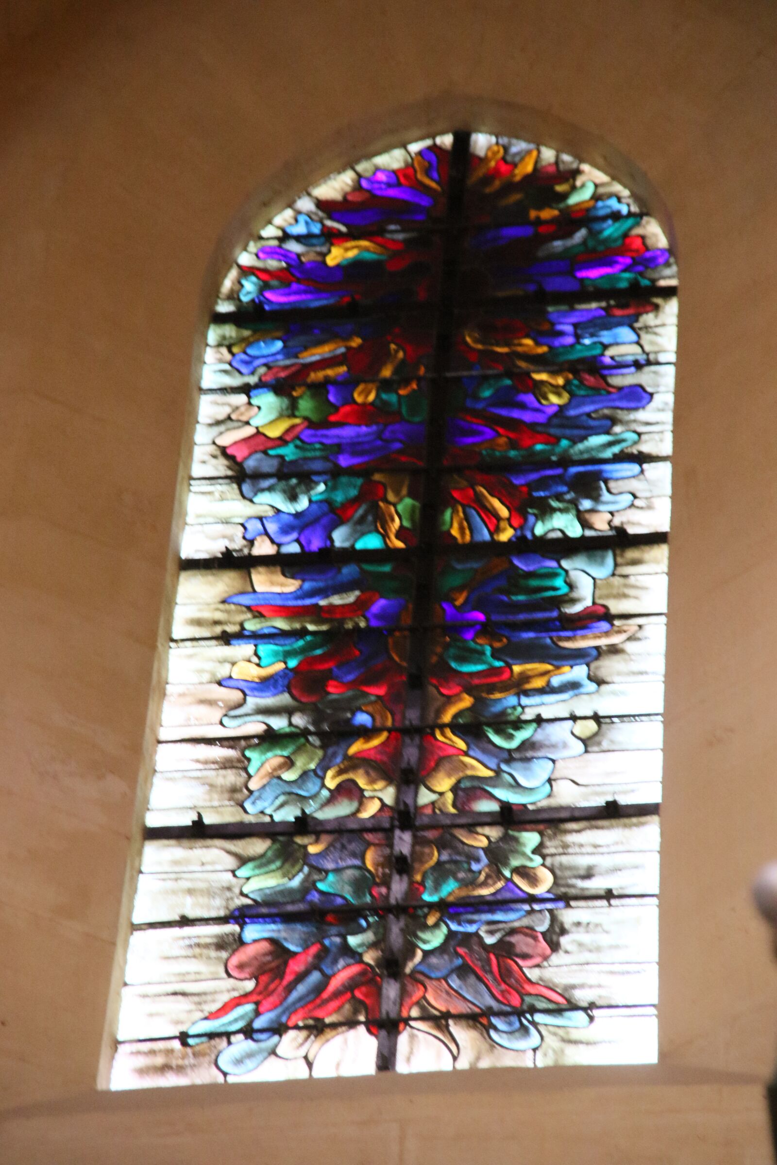 Canon EOS 7D Mark II sample photo. Stained glass, light, cathedral photography