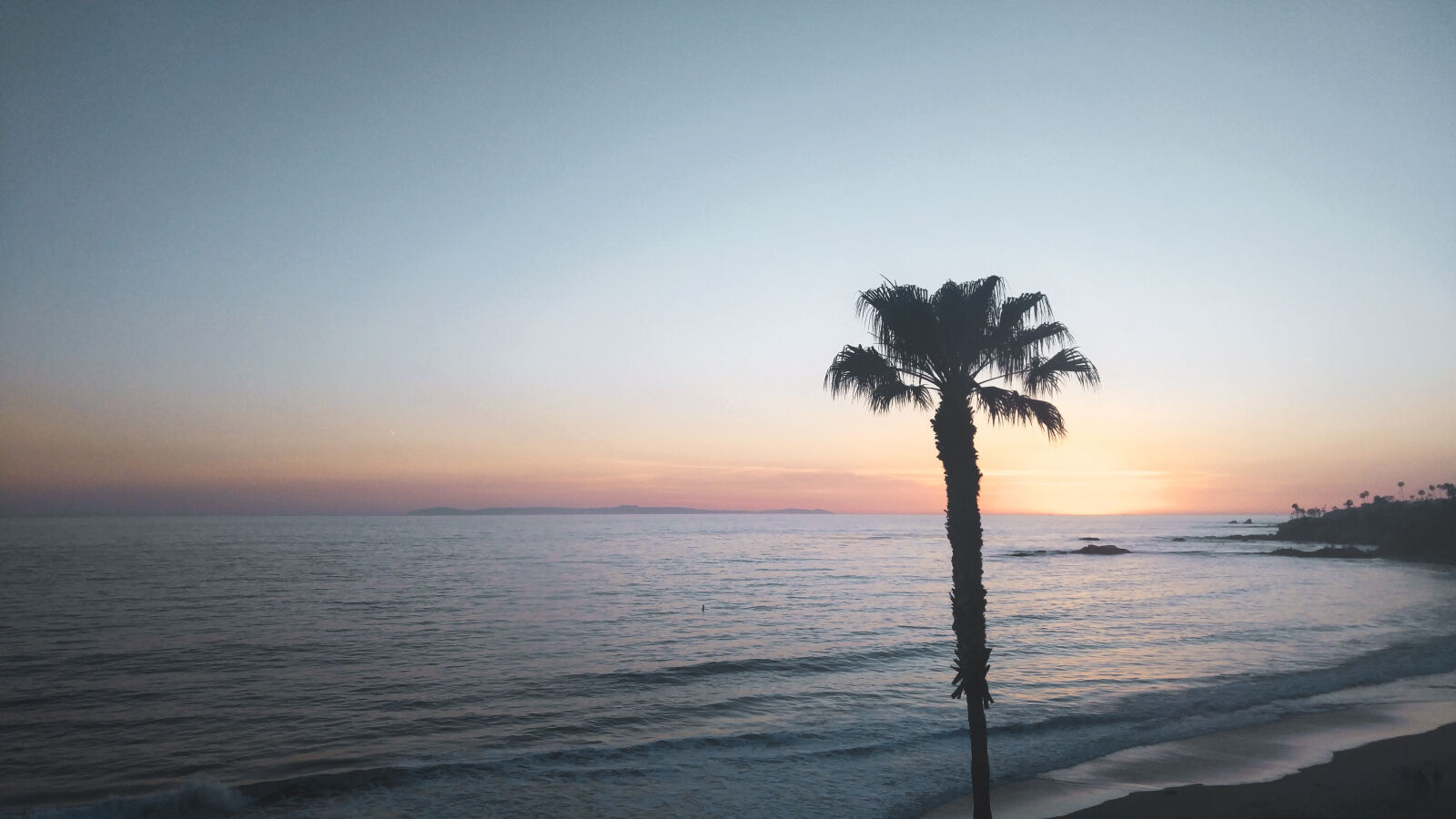 LG V10 sample photo. Beach, ocean, palm, tree photography