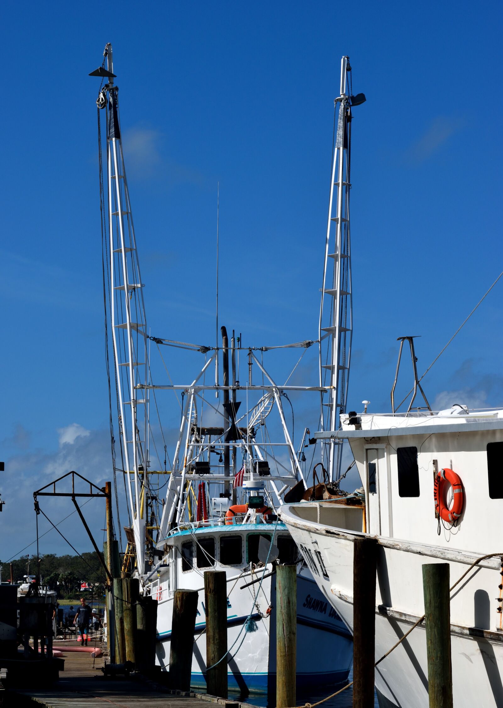 Nikon D3300 sample photo. Commercial fishing nets, shrimp photography