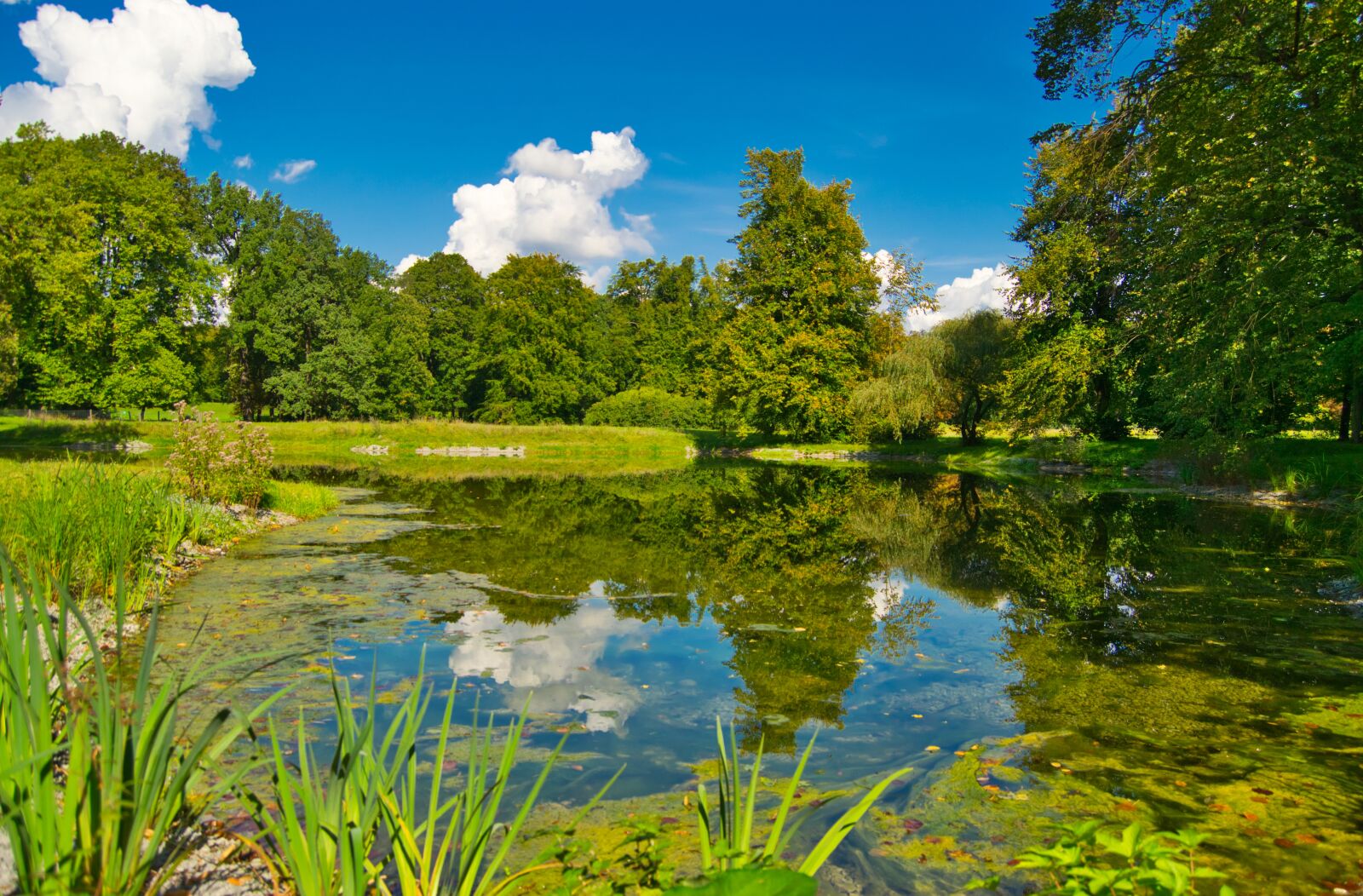 Nikon D5300 sample photo. Pond, mirroring, sky photography