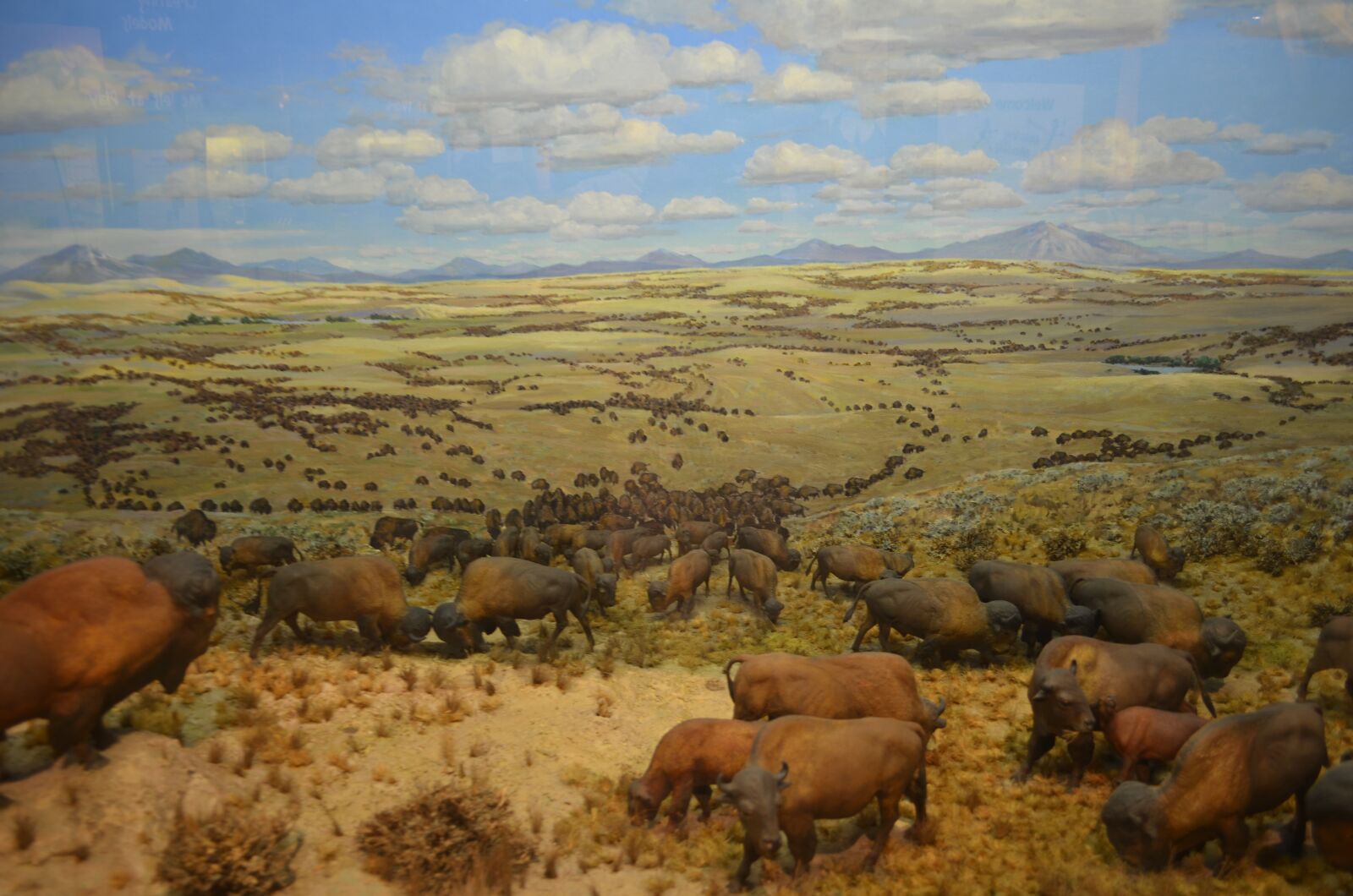 Nikon D5100 sample photo. Museum, science, boston photography